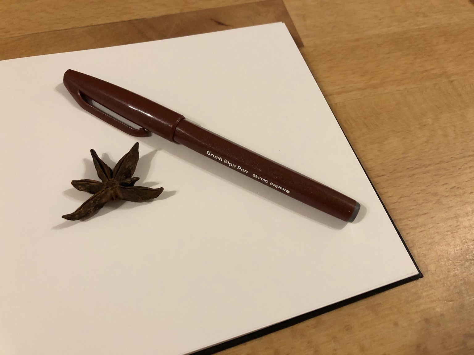 star anise - image 1 - student project