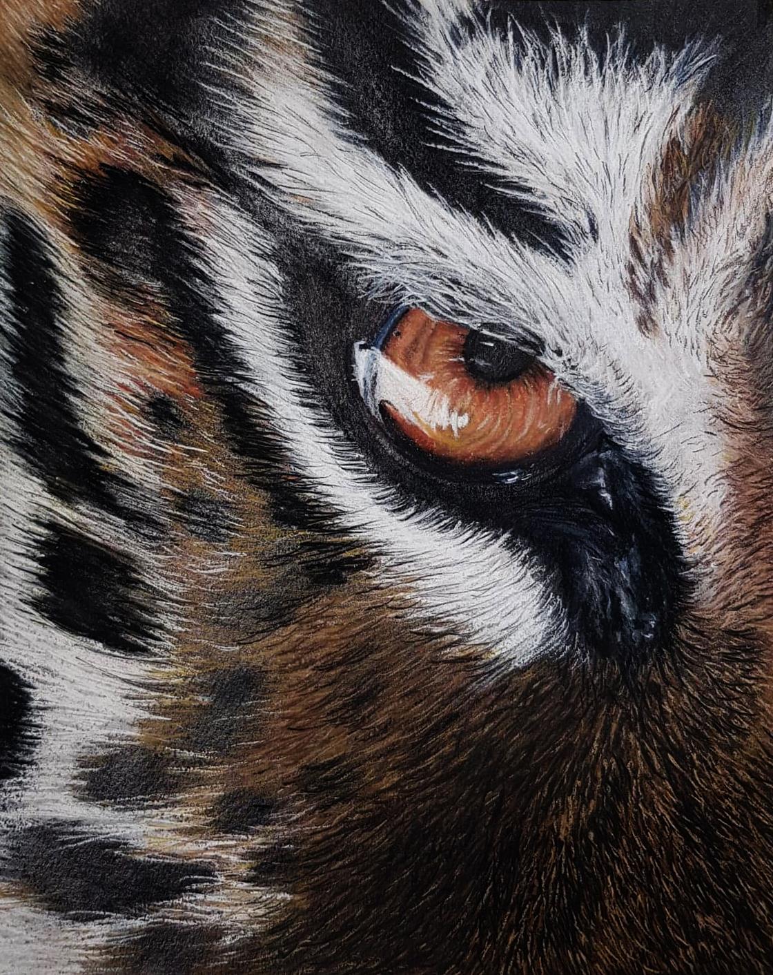 Tiger Eye - image 1 - student project