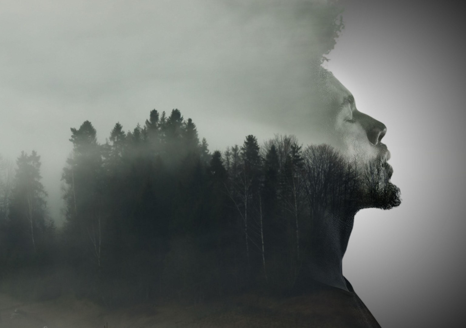 Advanced messing around with Photoshop - image 2 - student project
