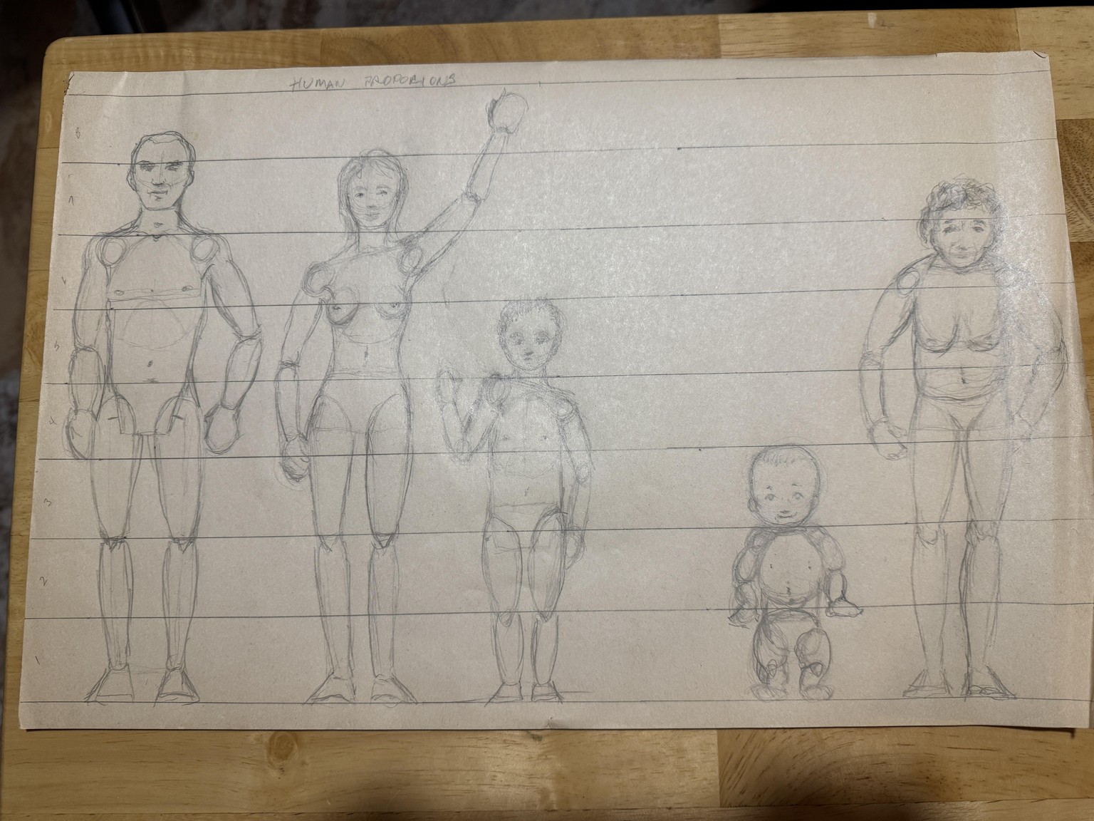 realistic human proportions - image 1 - student project