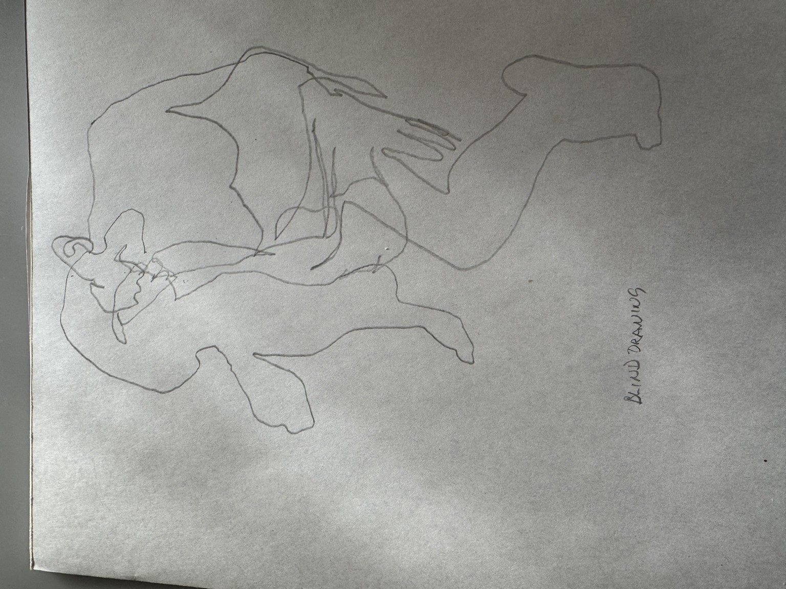 Dynamic Figure Drawing - image 2 - student project