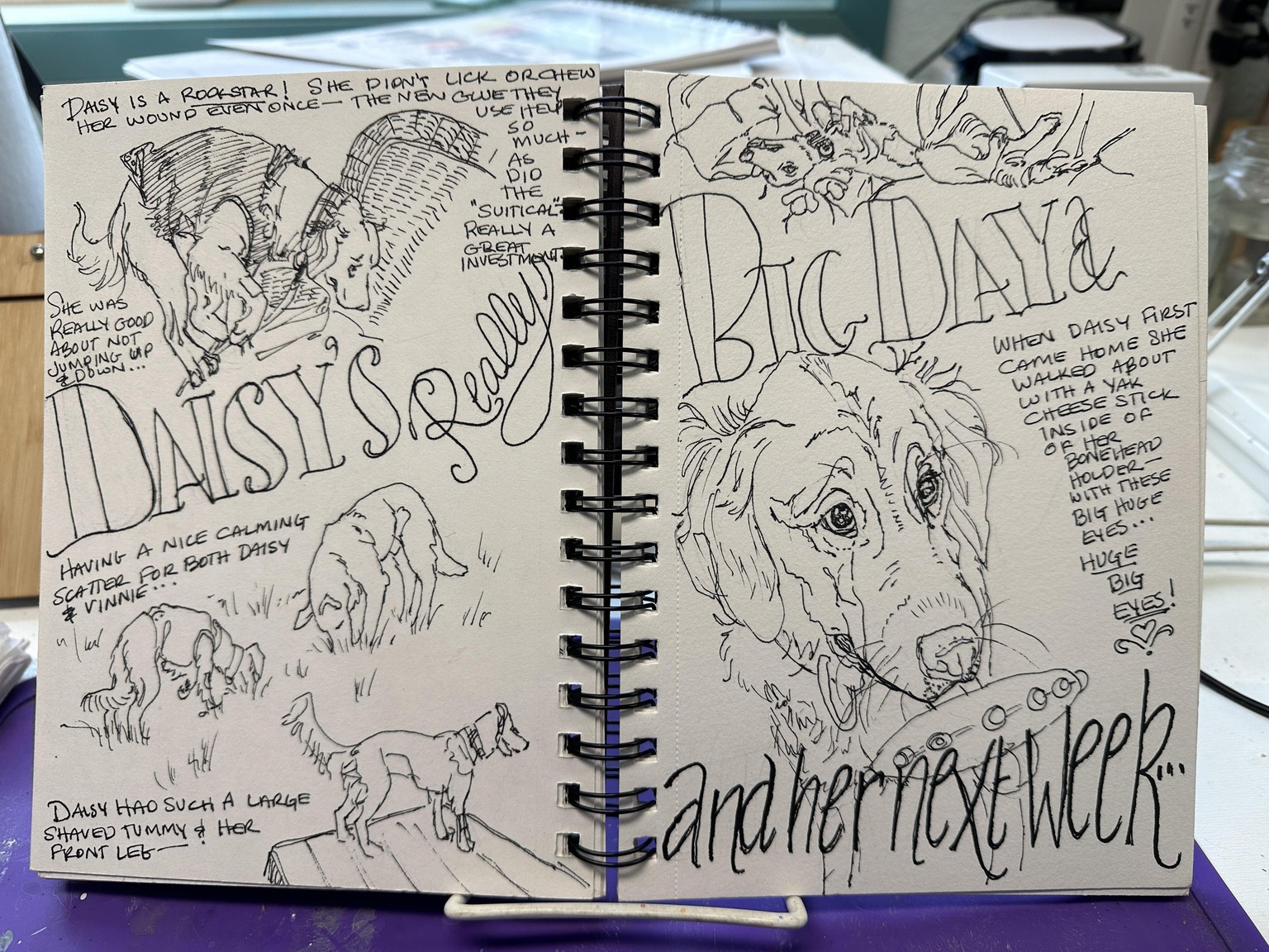 Shay’s New Start journal - My year's word: PROGRESS - image 121 - student project