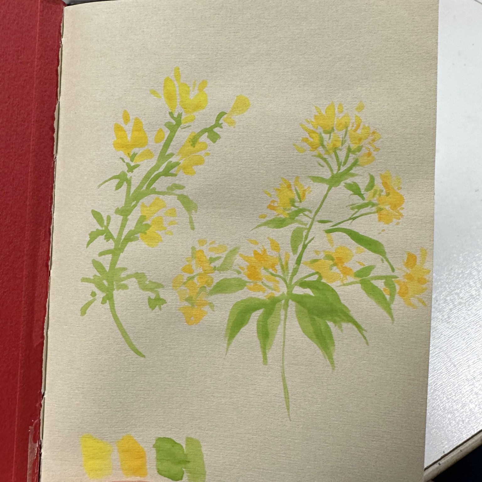 First time playing with gouache! - image 1 - student project