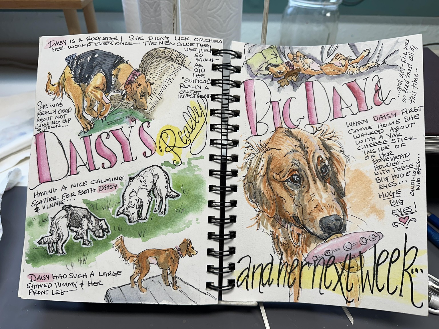 Shay’s New Start journal - My year's word: PROGRESS - image 122 - student project