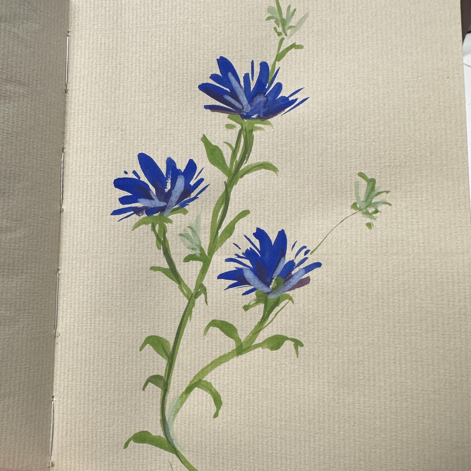 First time playing with gouache! - image 3 - student project