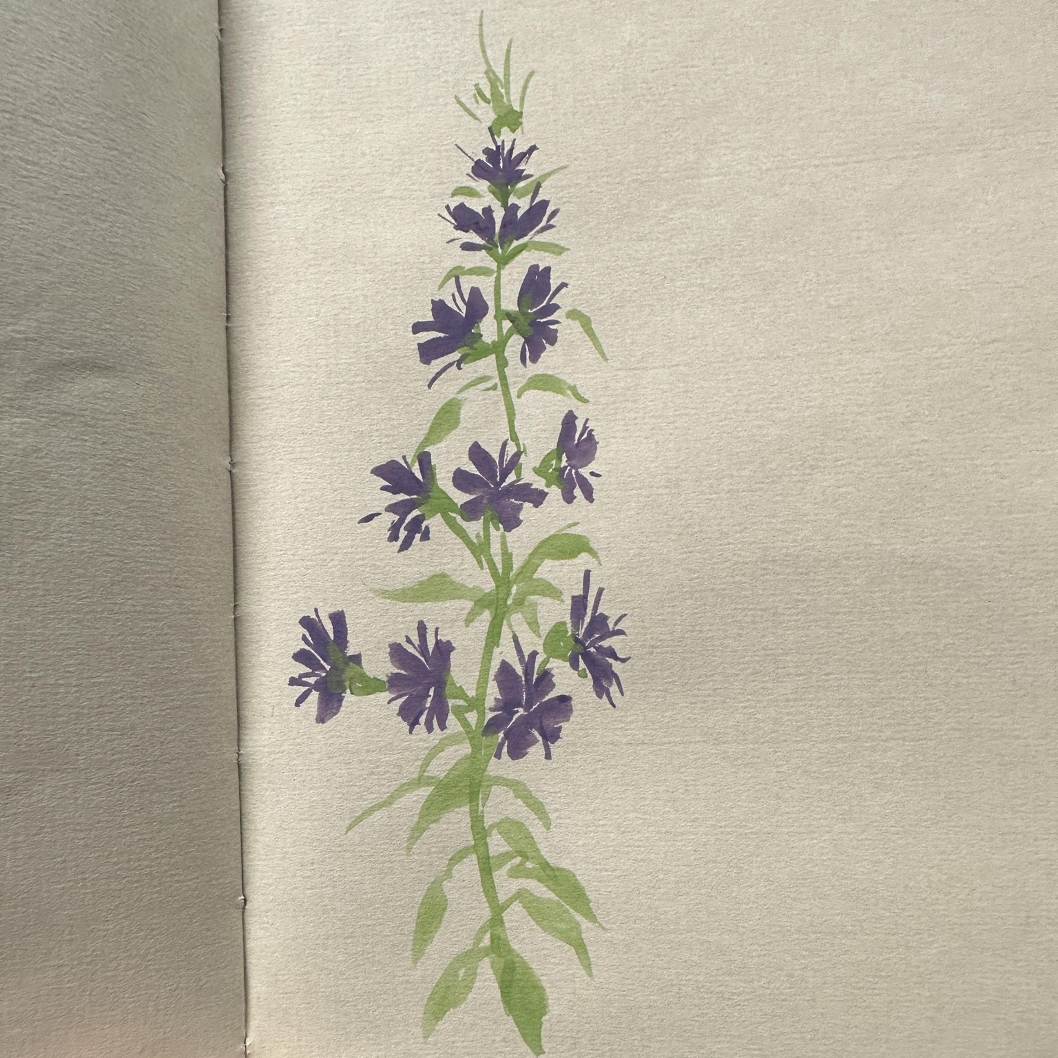 First time playing with gouache! - image 4 - student project