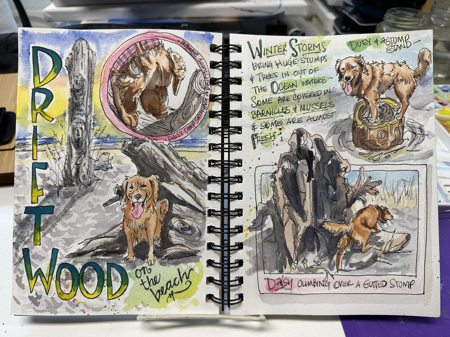 Shay’s New Start journal - My year's word: PROGRESS - image 55 - student project