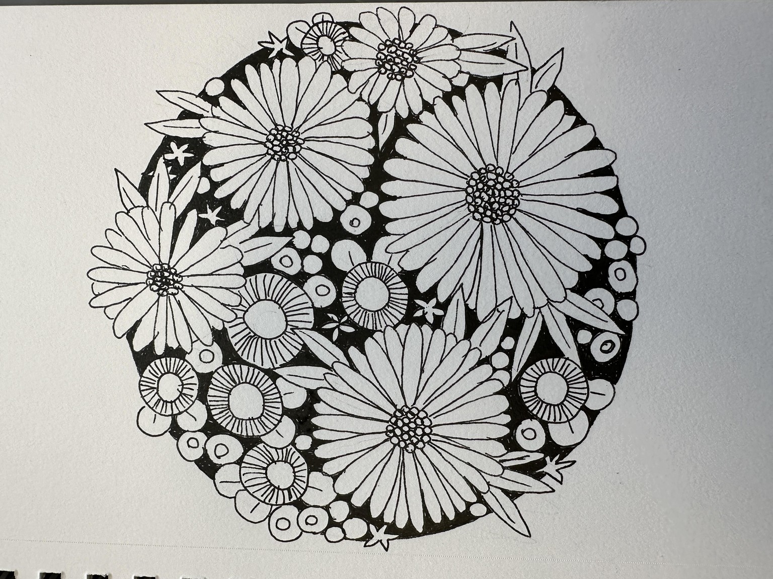 What a fun class! - image 2 - student project