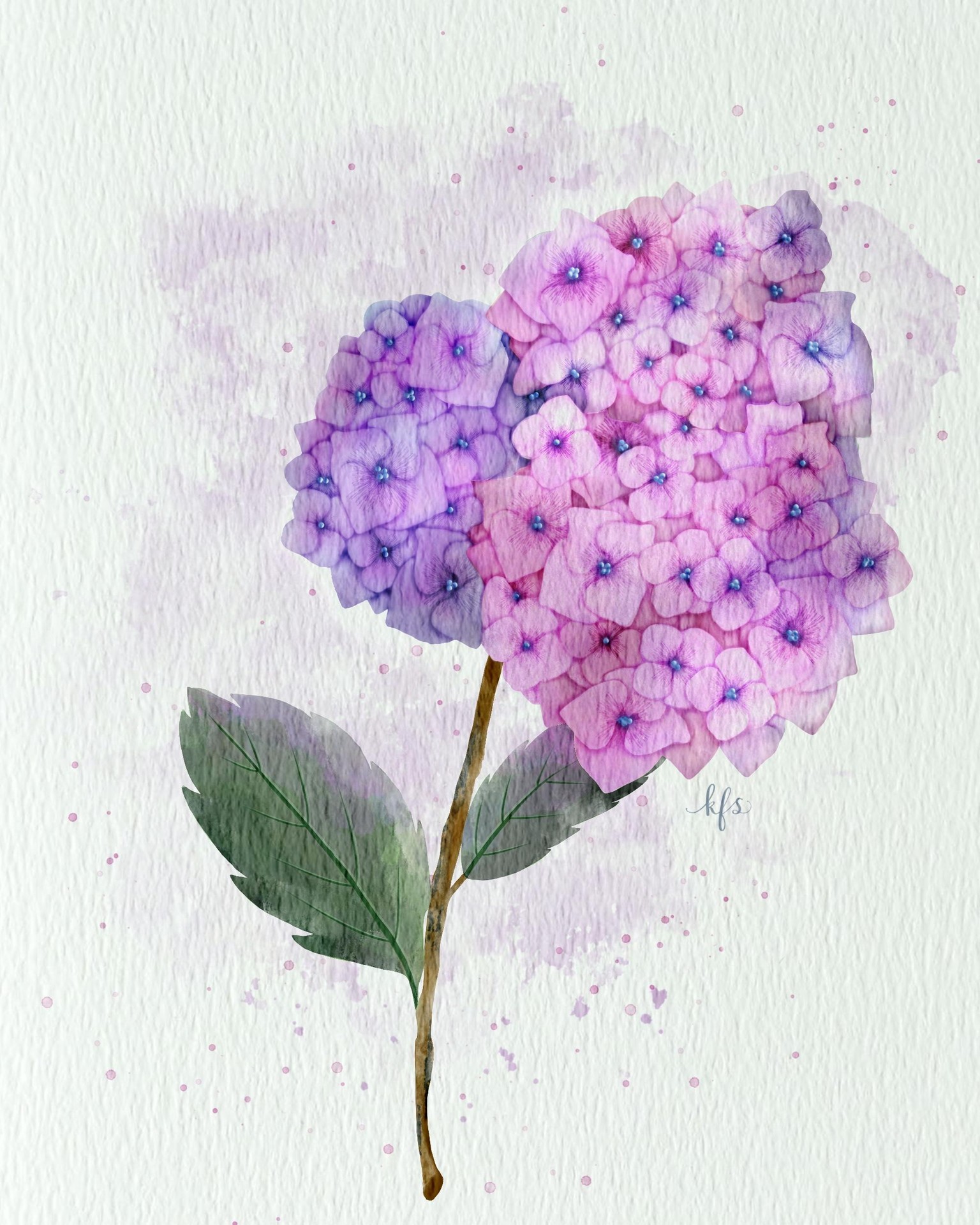 Watercolor Hydrangea - image 1 - student project