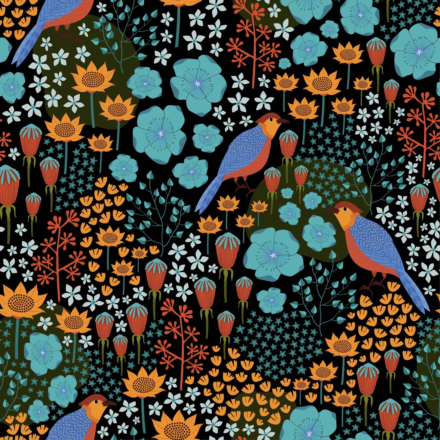 Bluebird - image 1 - student project