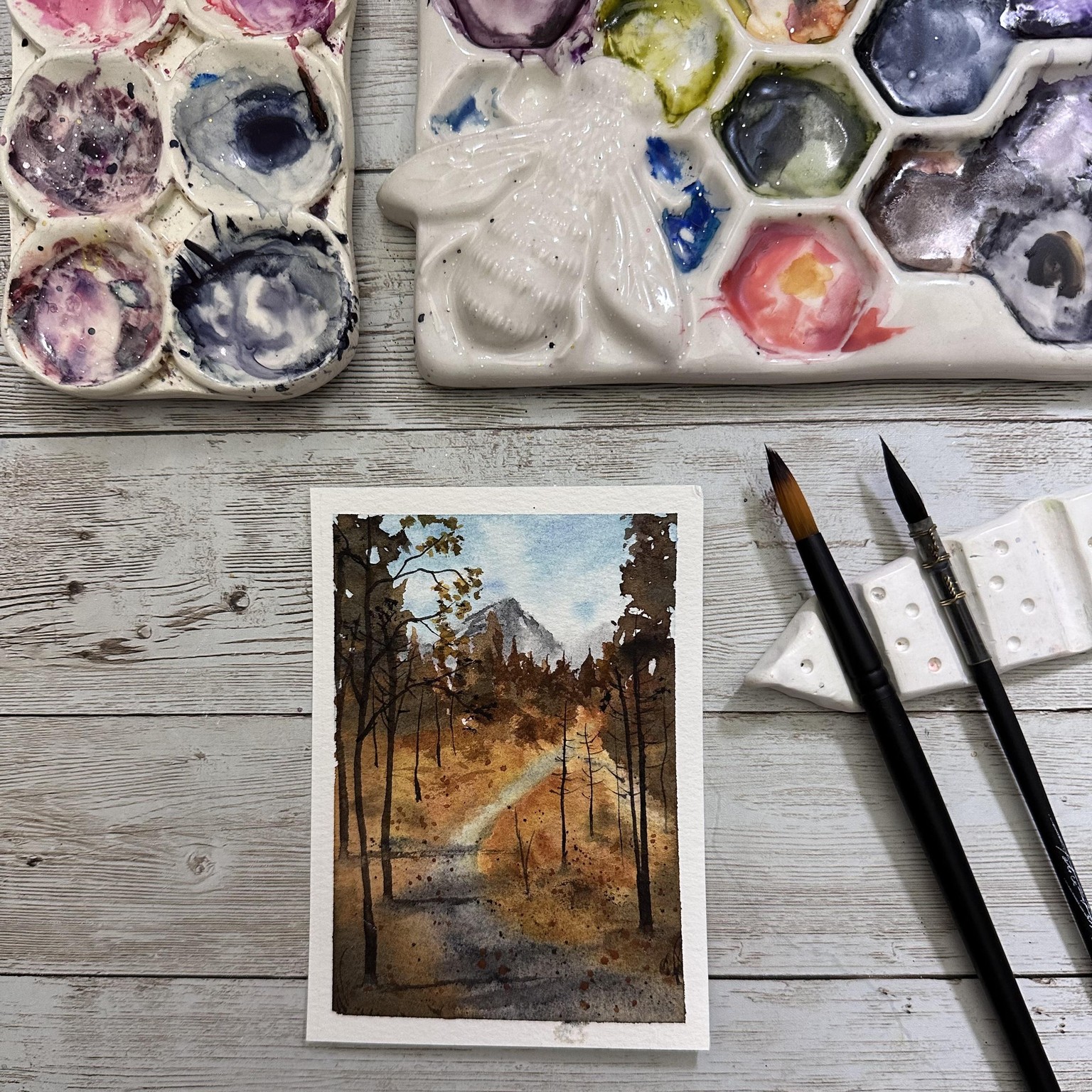 20 days of into the woods - image 1 - student project