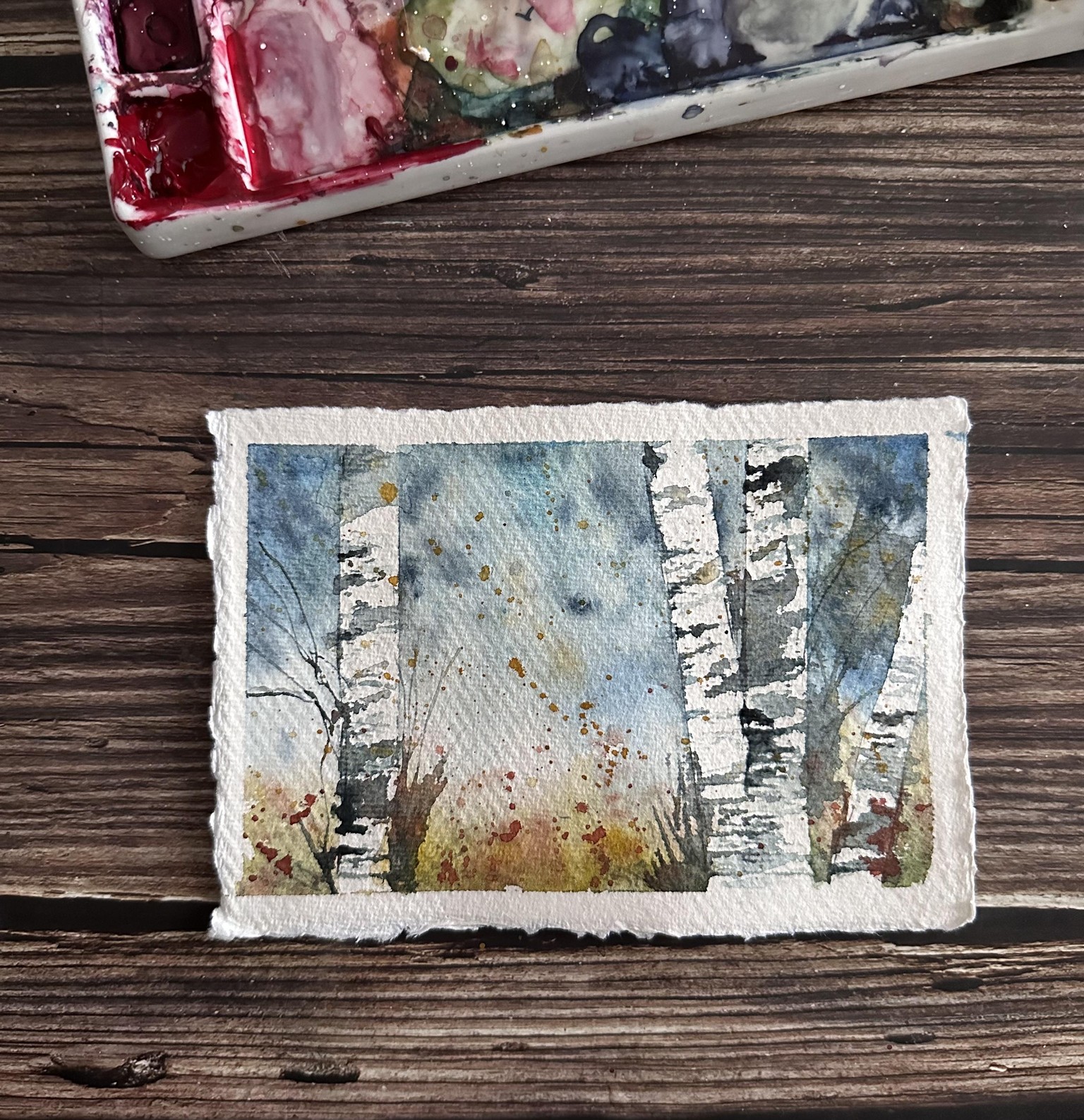 Loose Birch trees - image 1 - student project