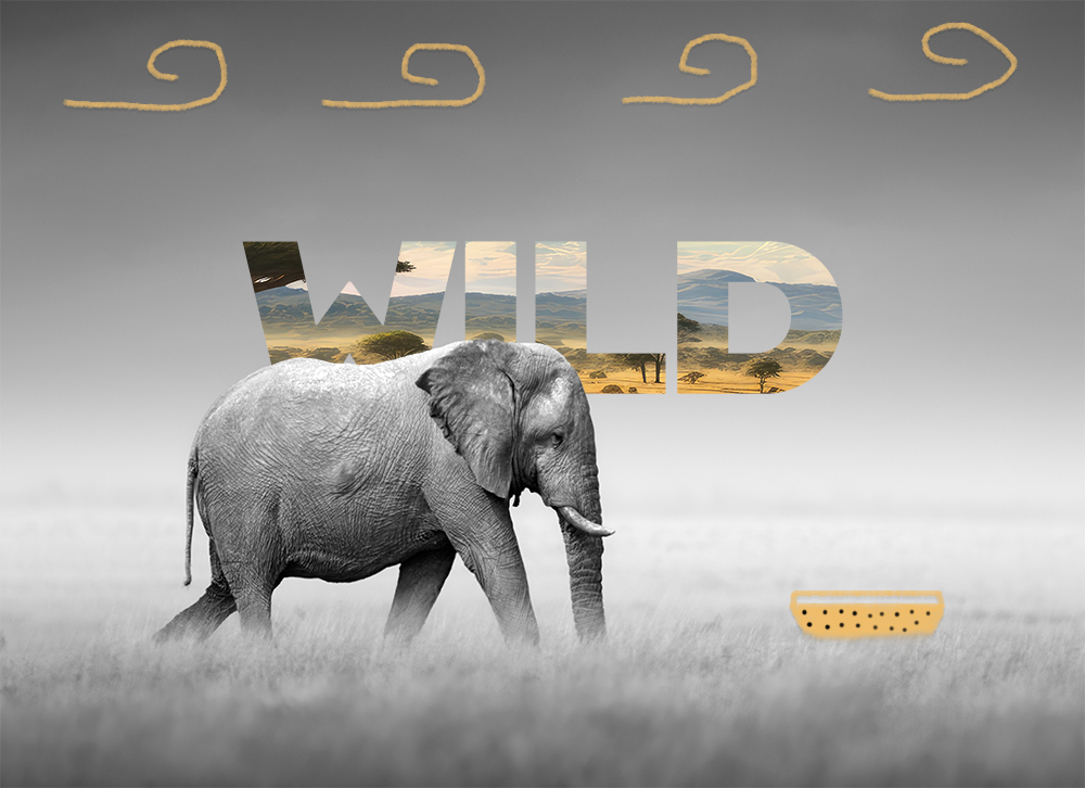 Wild - image 1 - student project