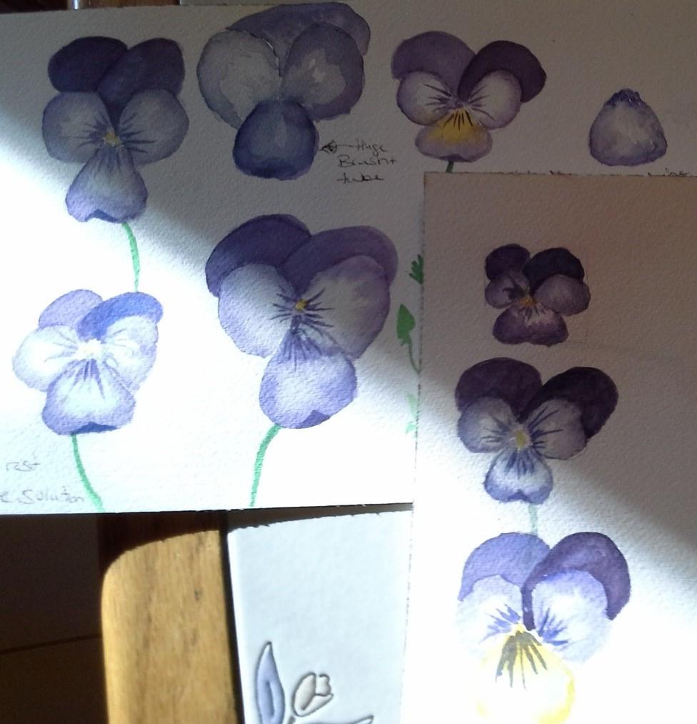 Not perfect but definately viola-like. - image 1 - student project