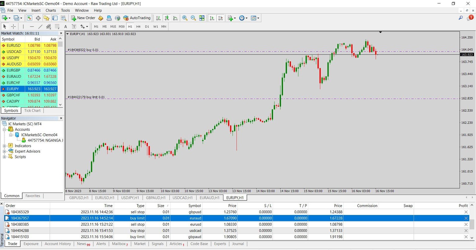 demo ac opening, charts and order placing - image 2 - student project