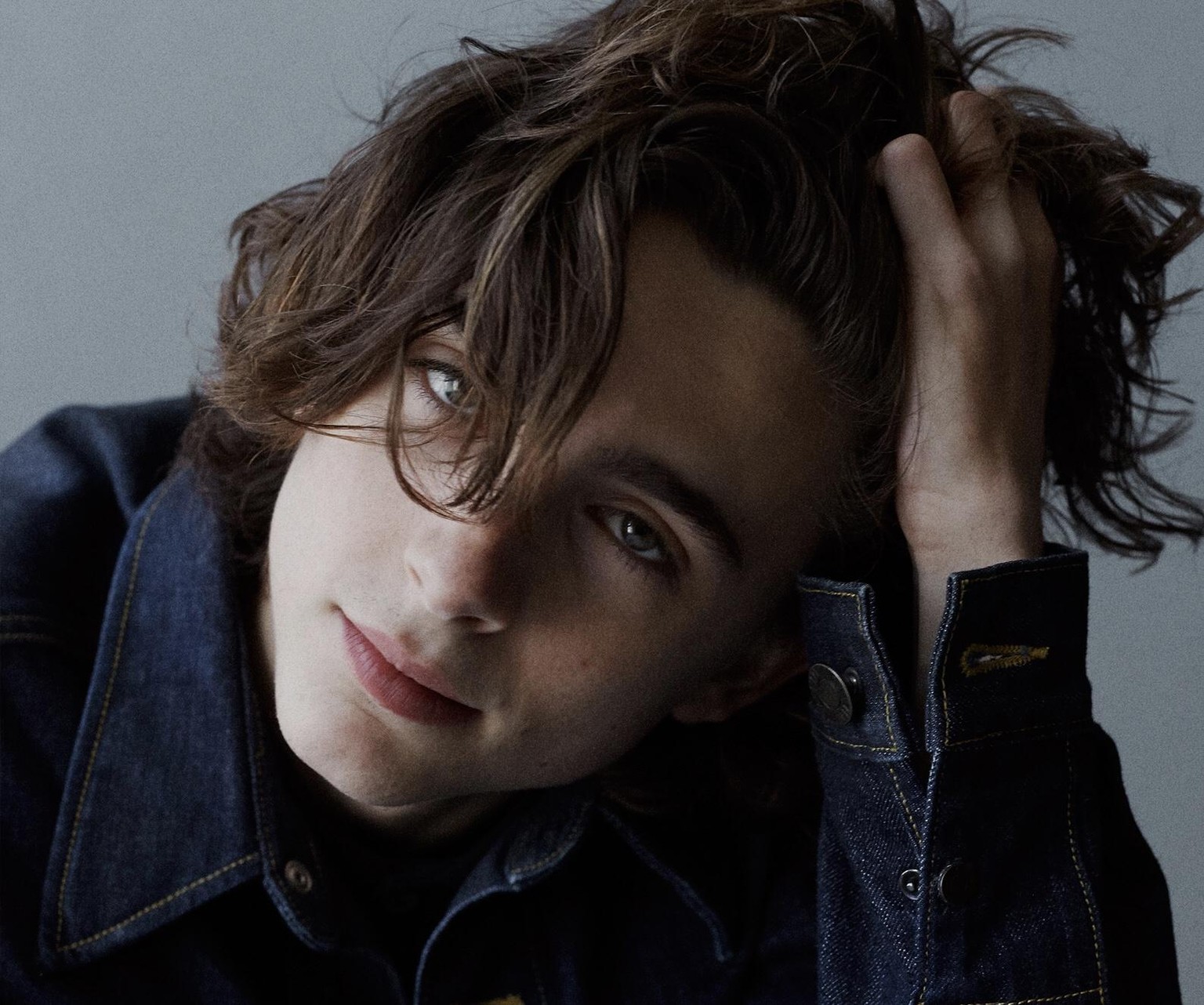 Timothée Chalamet - image 1 - student project