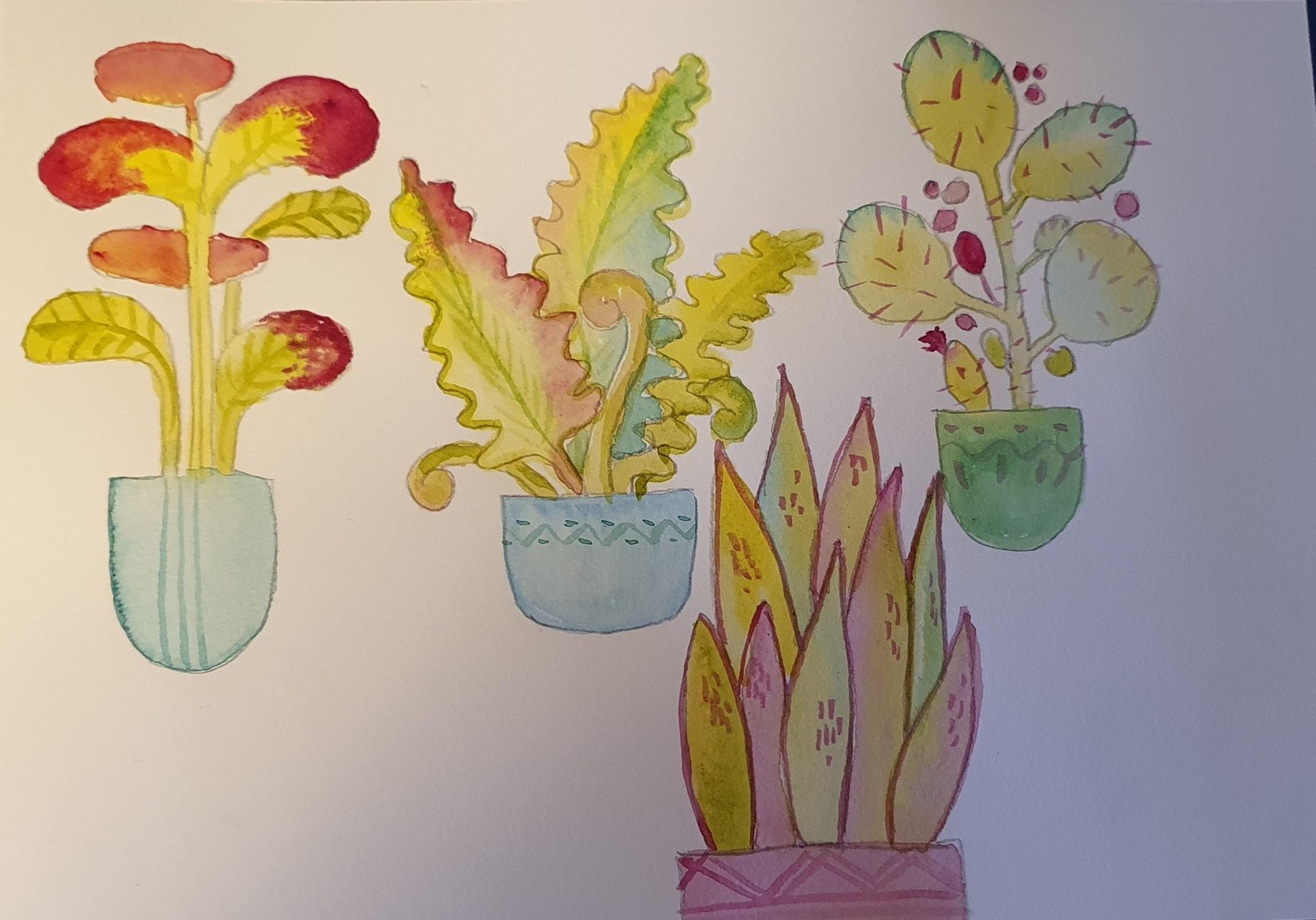 Rainbow plants - image 2 - student project