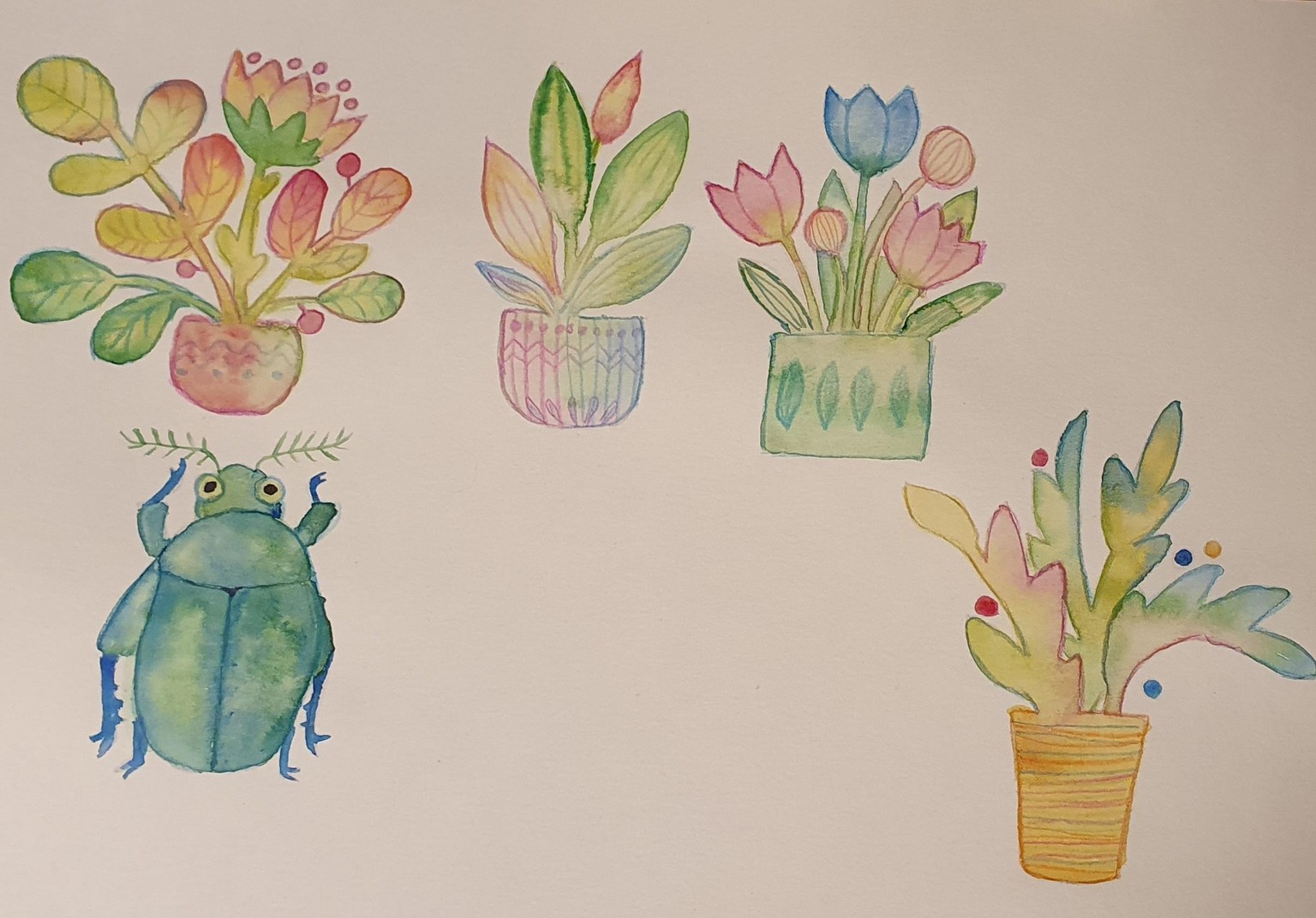 Rainbow plants - image 3 - student project