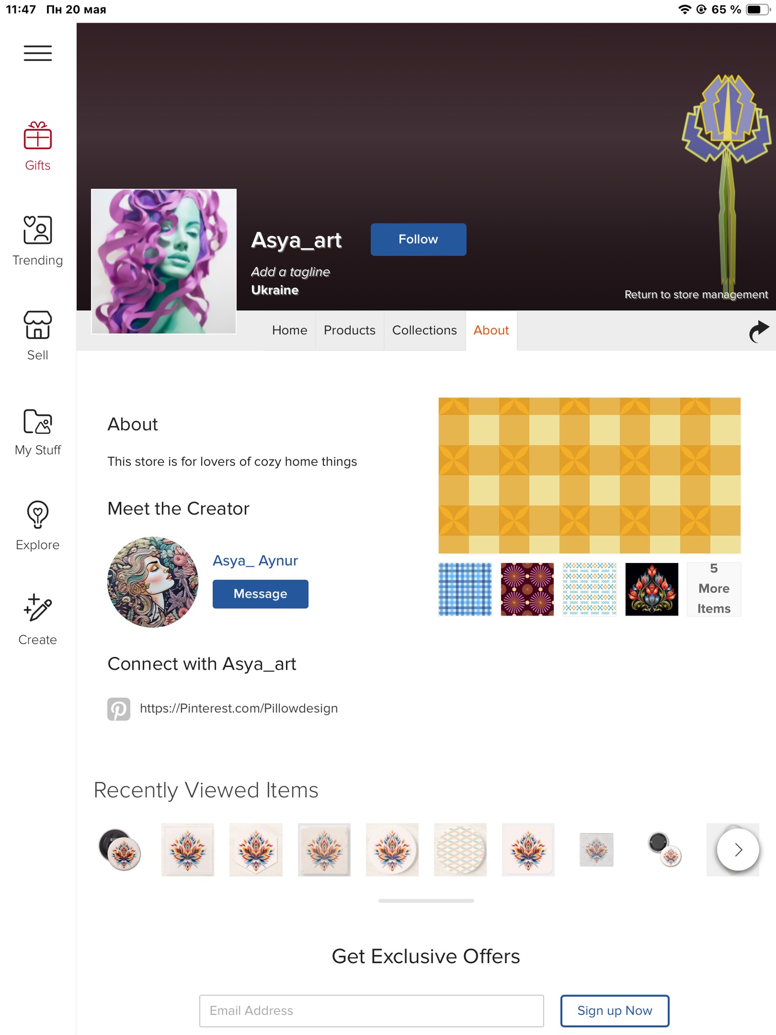 My Zazzle Store - image 1 - student project