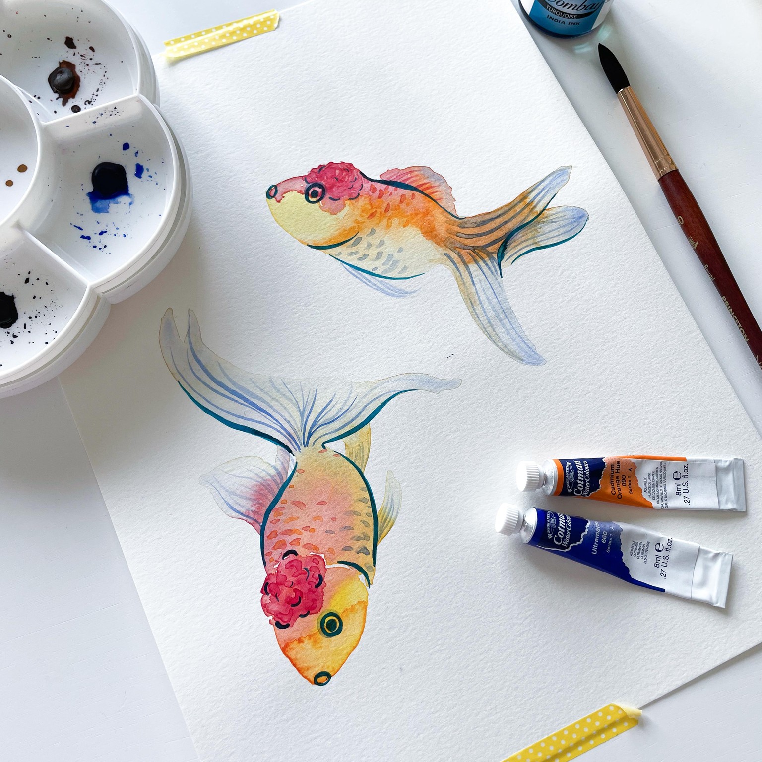 Three sets of goldfish - image 3 - student project