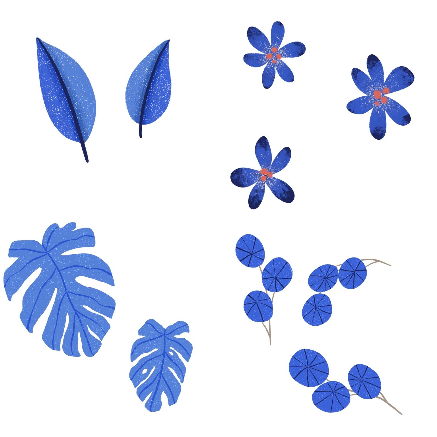 Flower Flat Lay - image 22 - student project