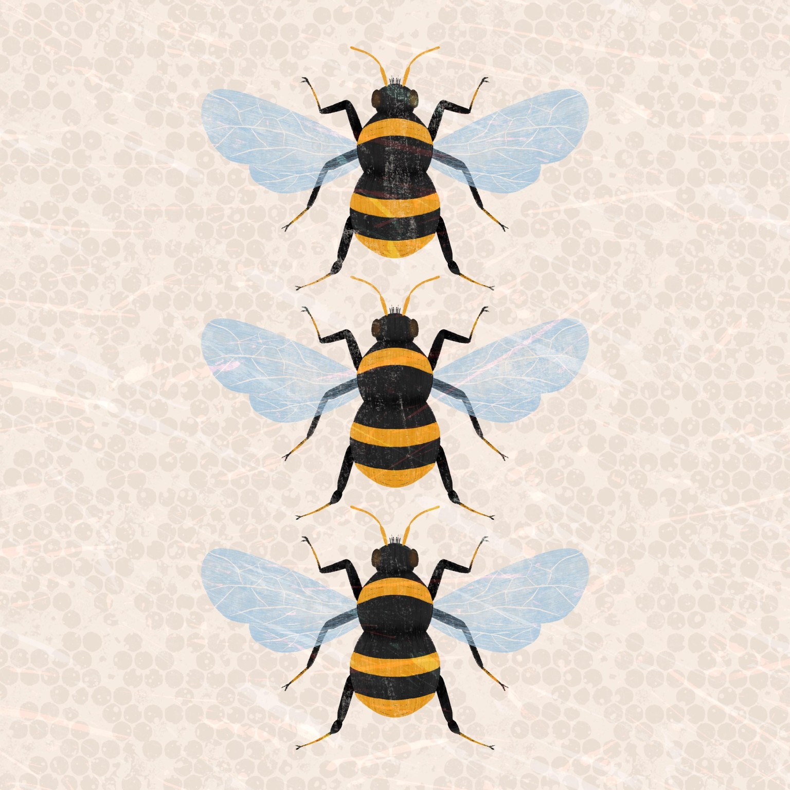 Insect Illustrations - image 8 - student project