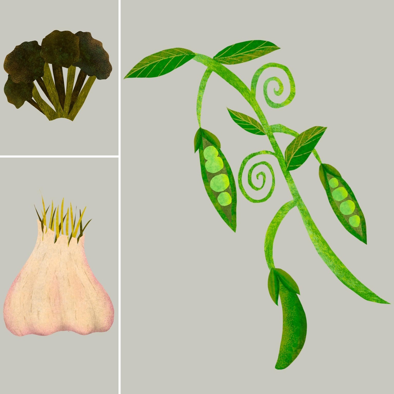 Digital Paper Collage Veggies and Apples - image 2 - student project