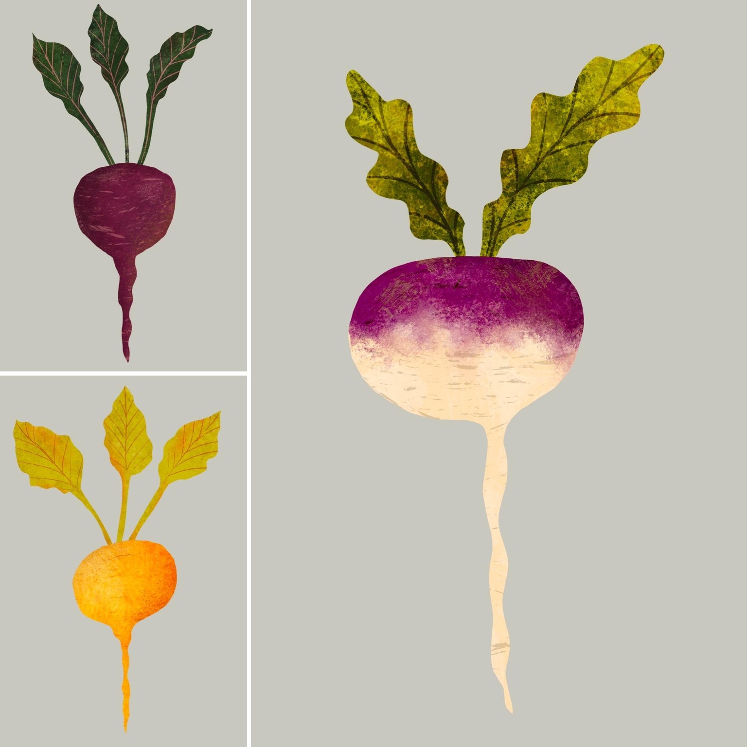 Digital Paper Collage Veggies and Apples - image 1 - student project
