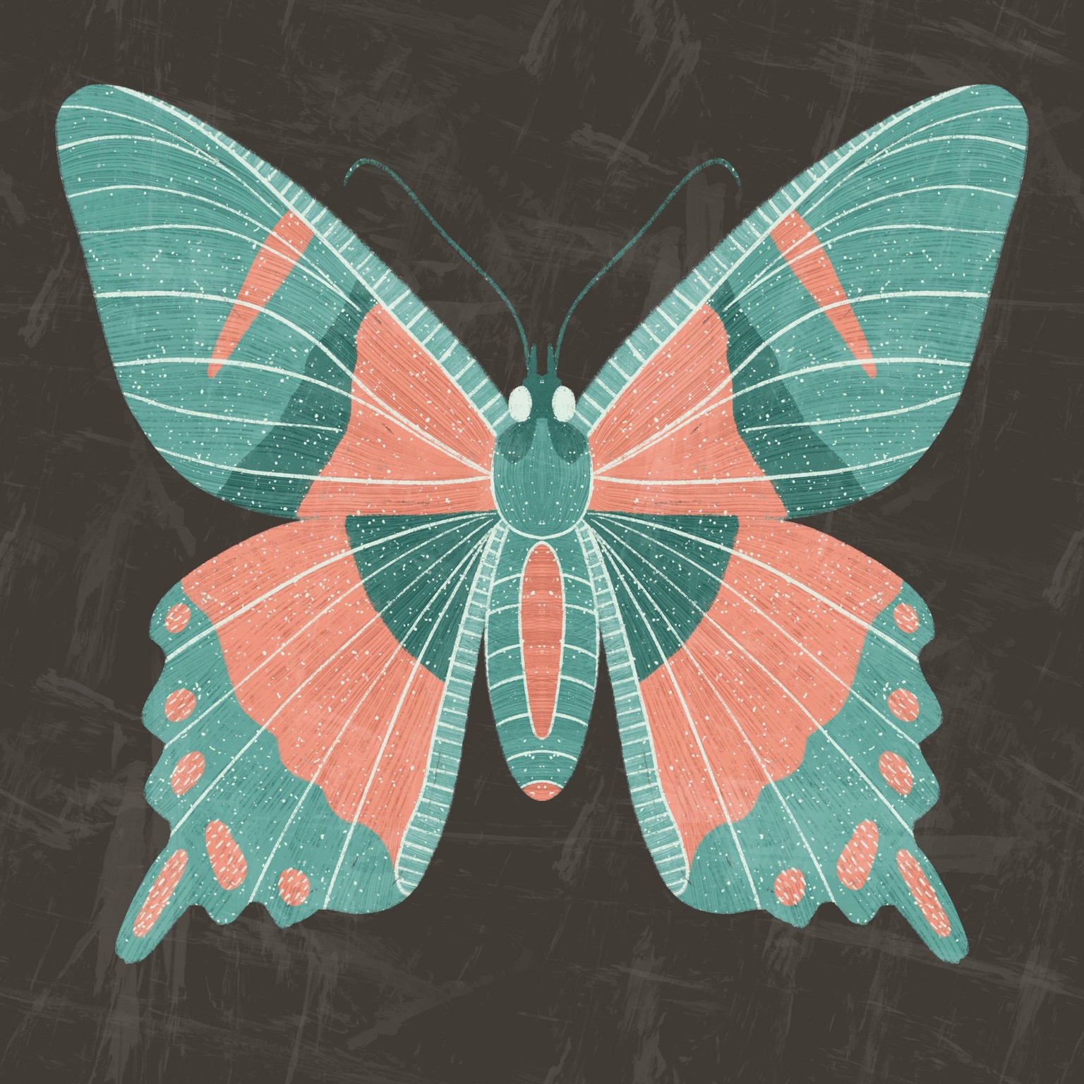 Insect Illustrations - image 2 - student project