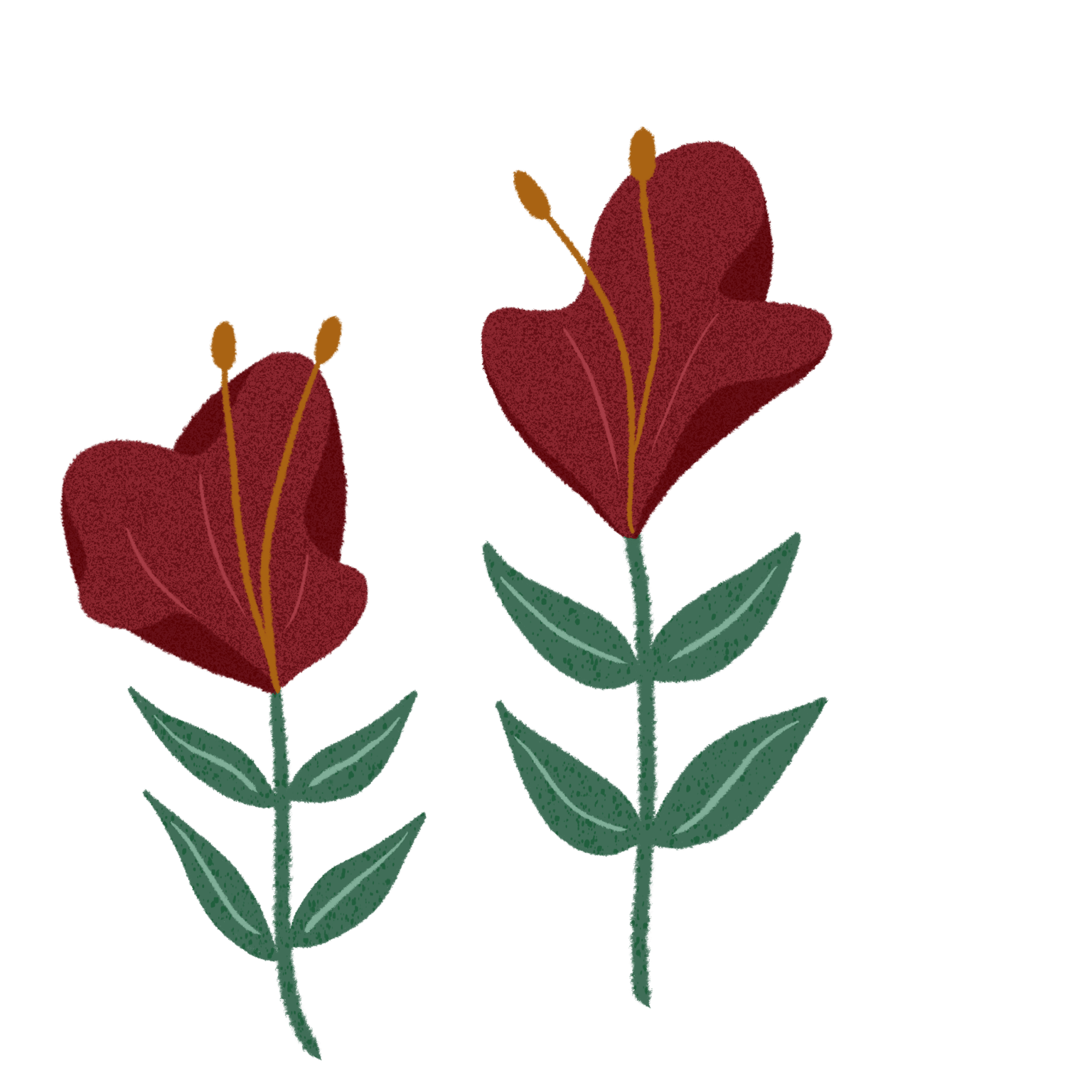 Flower Flat Lay - image 5 - student project