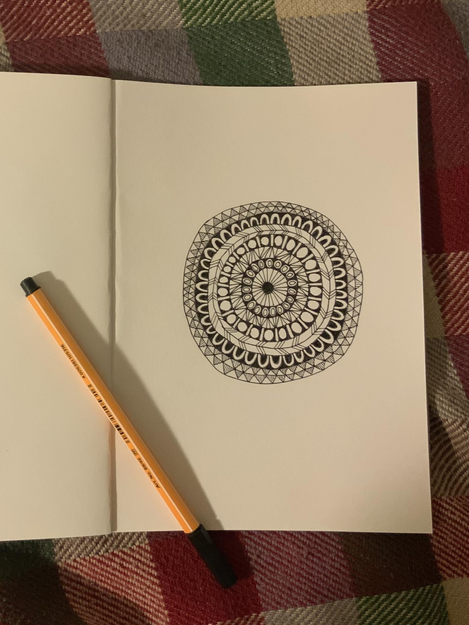 Practicing Mindful Drawing With Patterns - image 2 - student project
