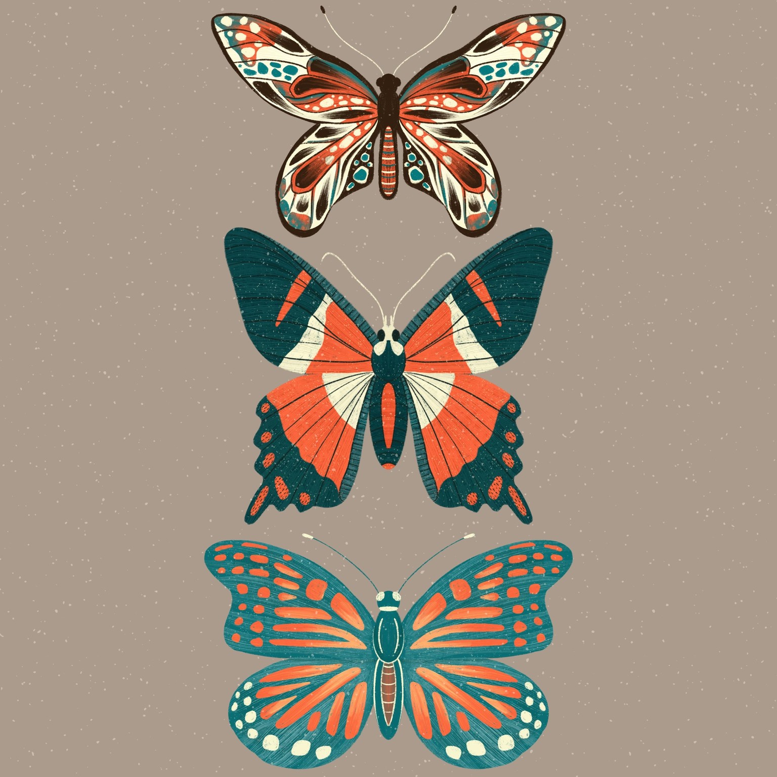 Insect Illustrations - image 4 - student project