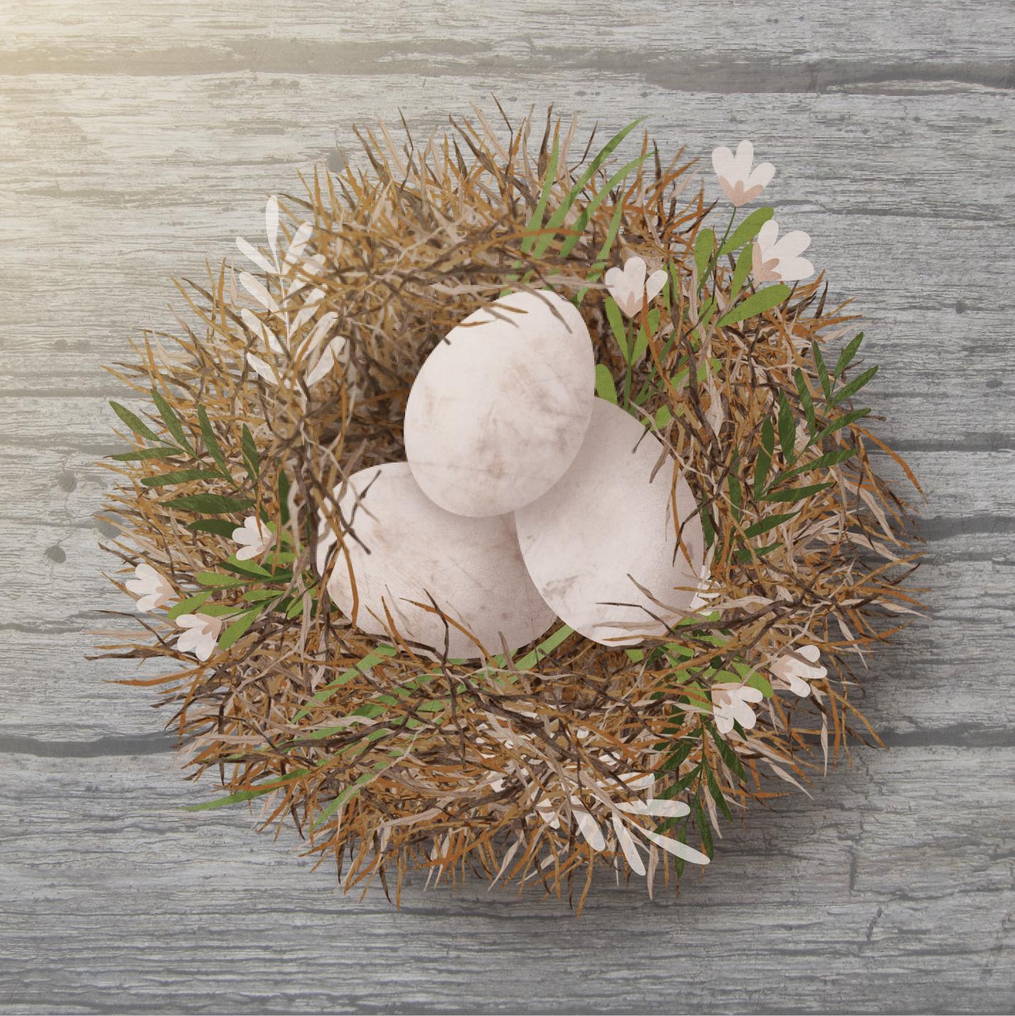 Nests in Affinity Designer - image 3 - student project