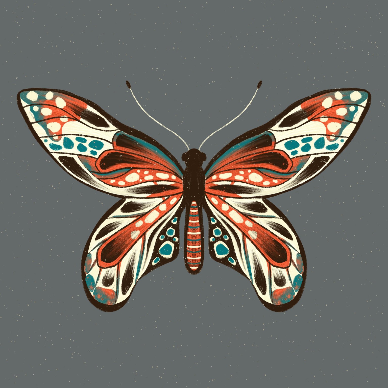 Insect Illustrations - image 1 - student project