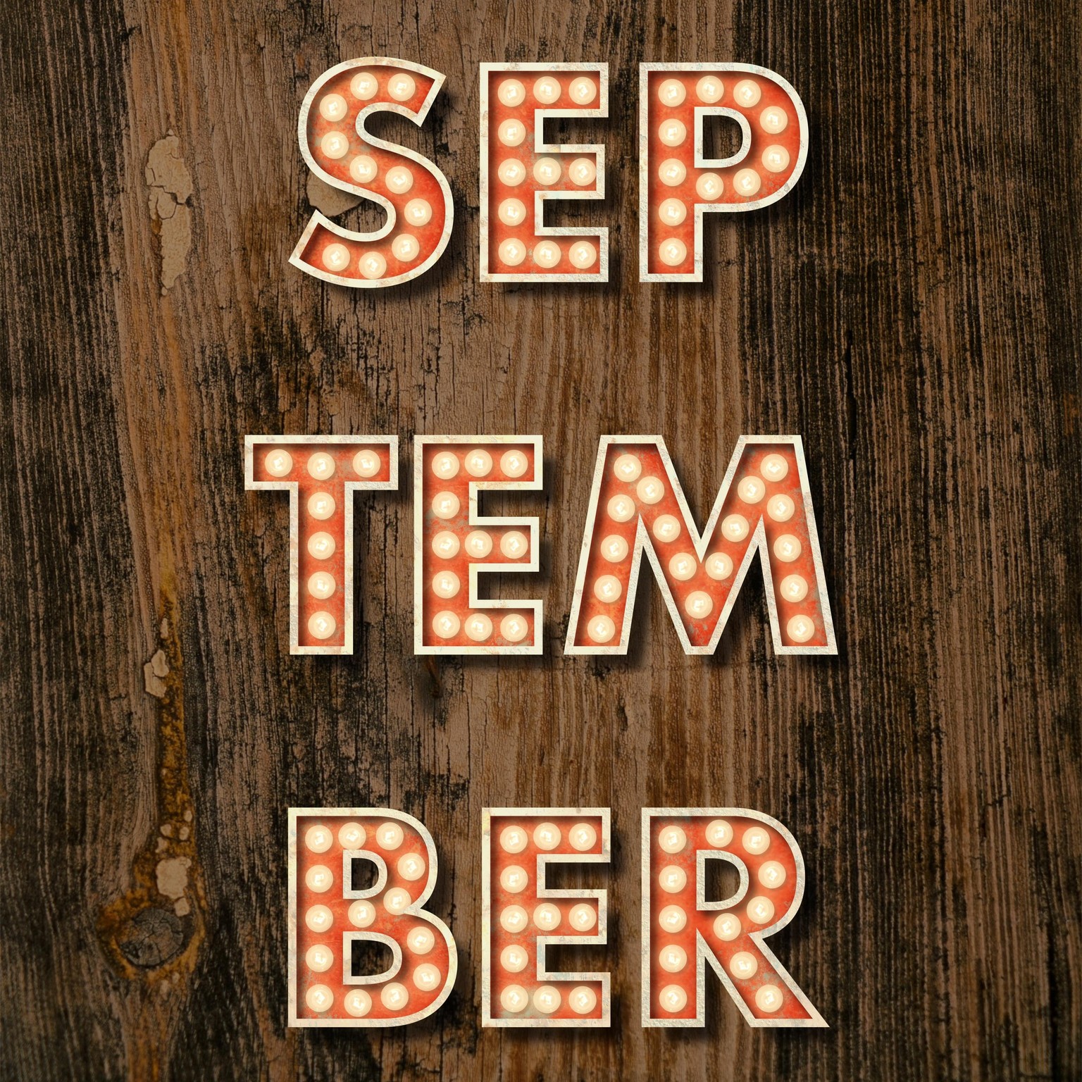 Vintage Marquee Signs in Procreate - image 2 - student project
