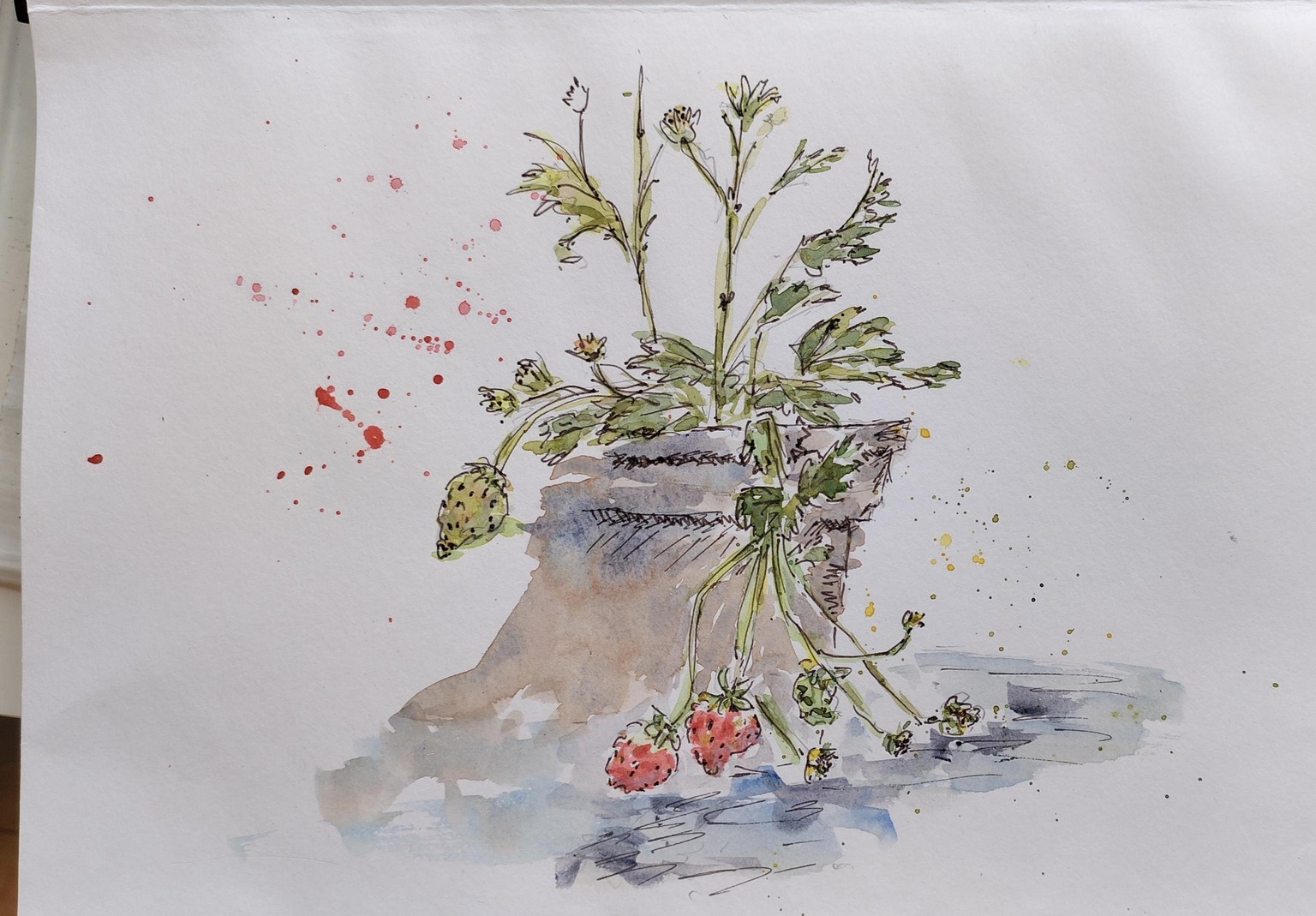 My potatoes and strawberries - image 1 - student project