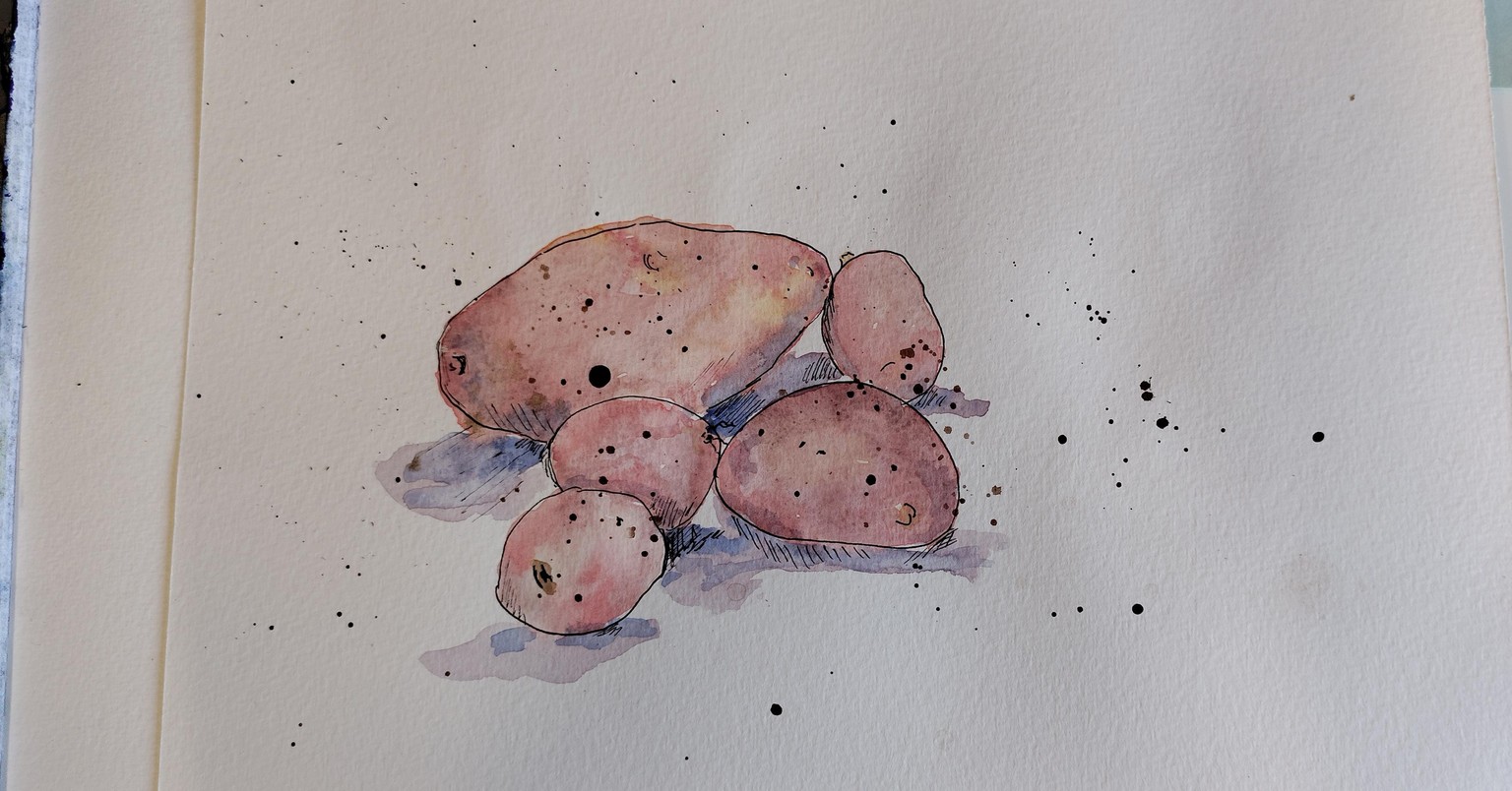 My potatoes and strawberries - image 3 - student project
