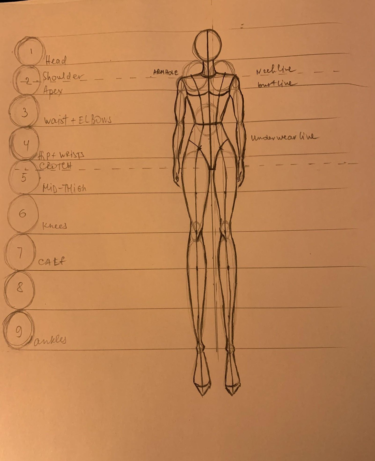 Creating my croquis - image 1 - student project