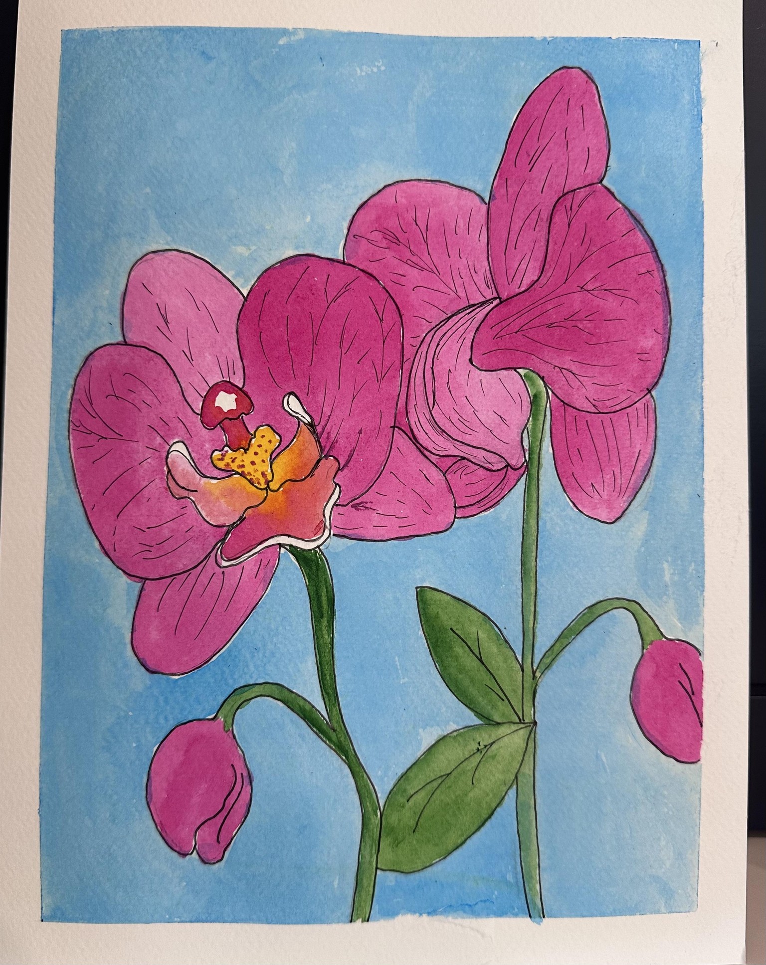 Orchids - image 1 - student project