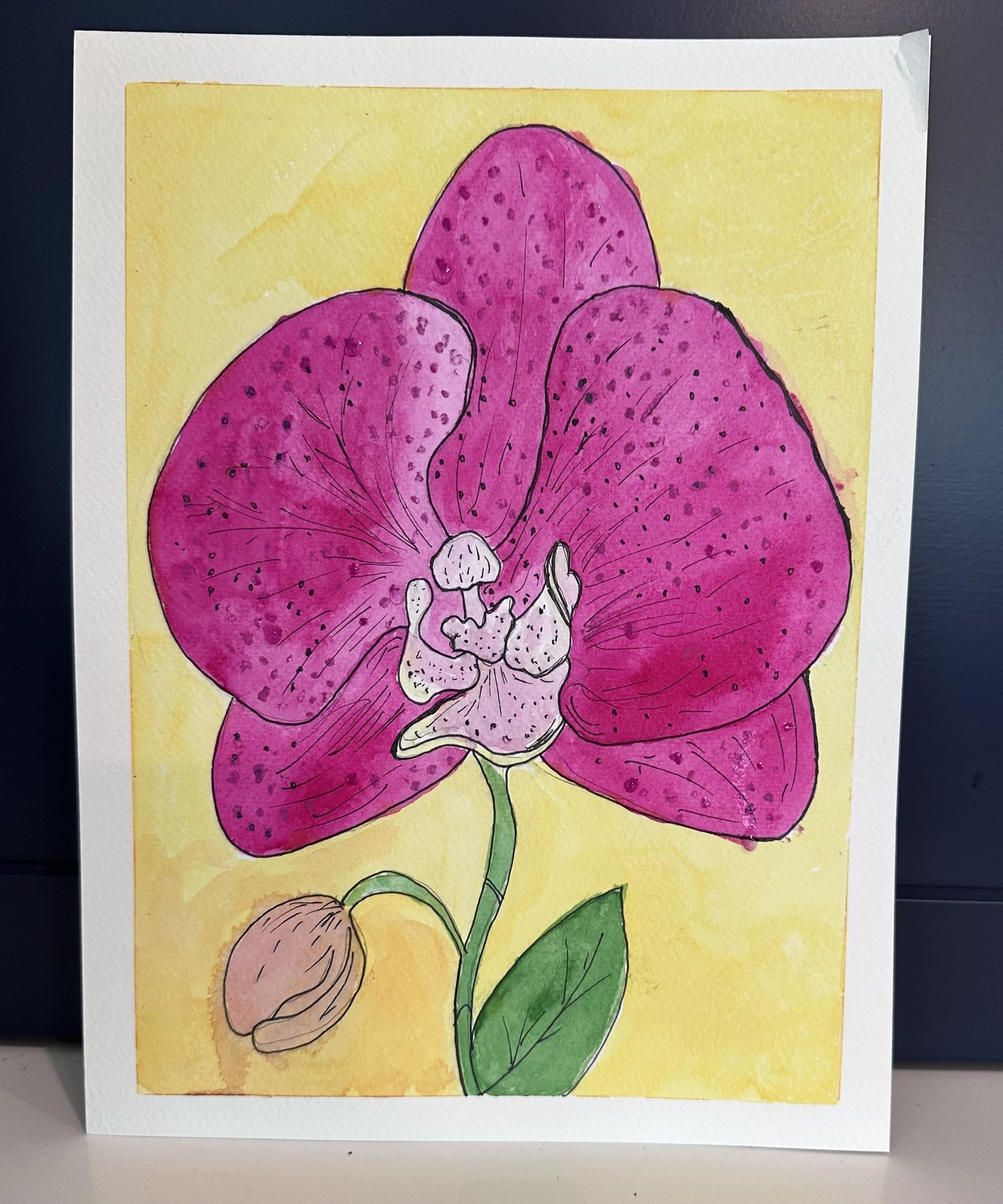 Orchids - image 2 - student project