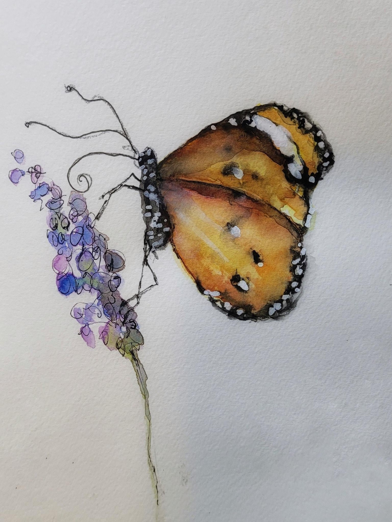 Like a butterfly, her wings unfolded. . . . - image 2 - student project