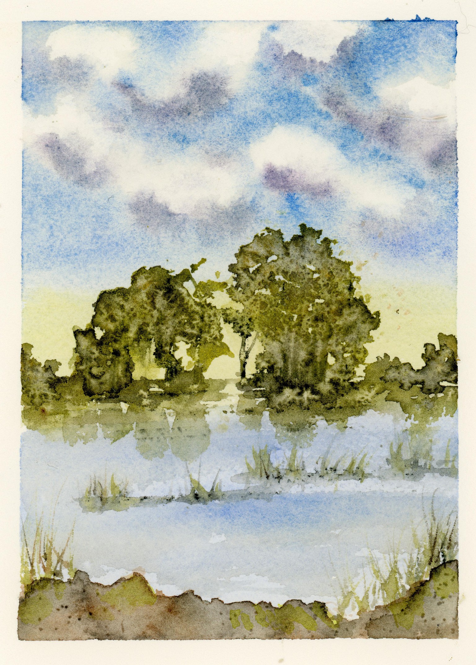 Lovely Loose Landscapes - image 2 - student project