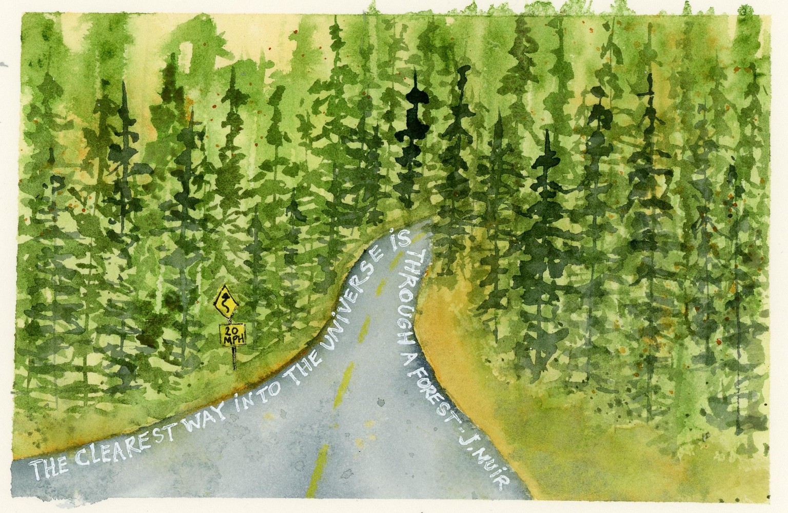 Not really misty, but lots of trees! - image 2 - student project