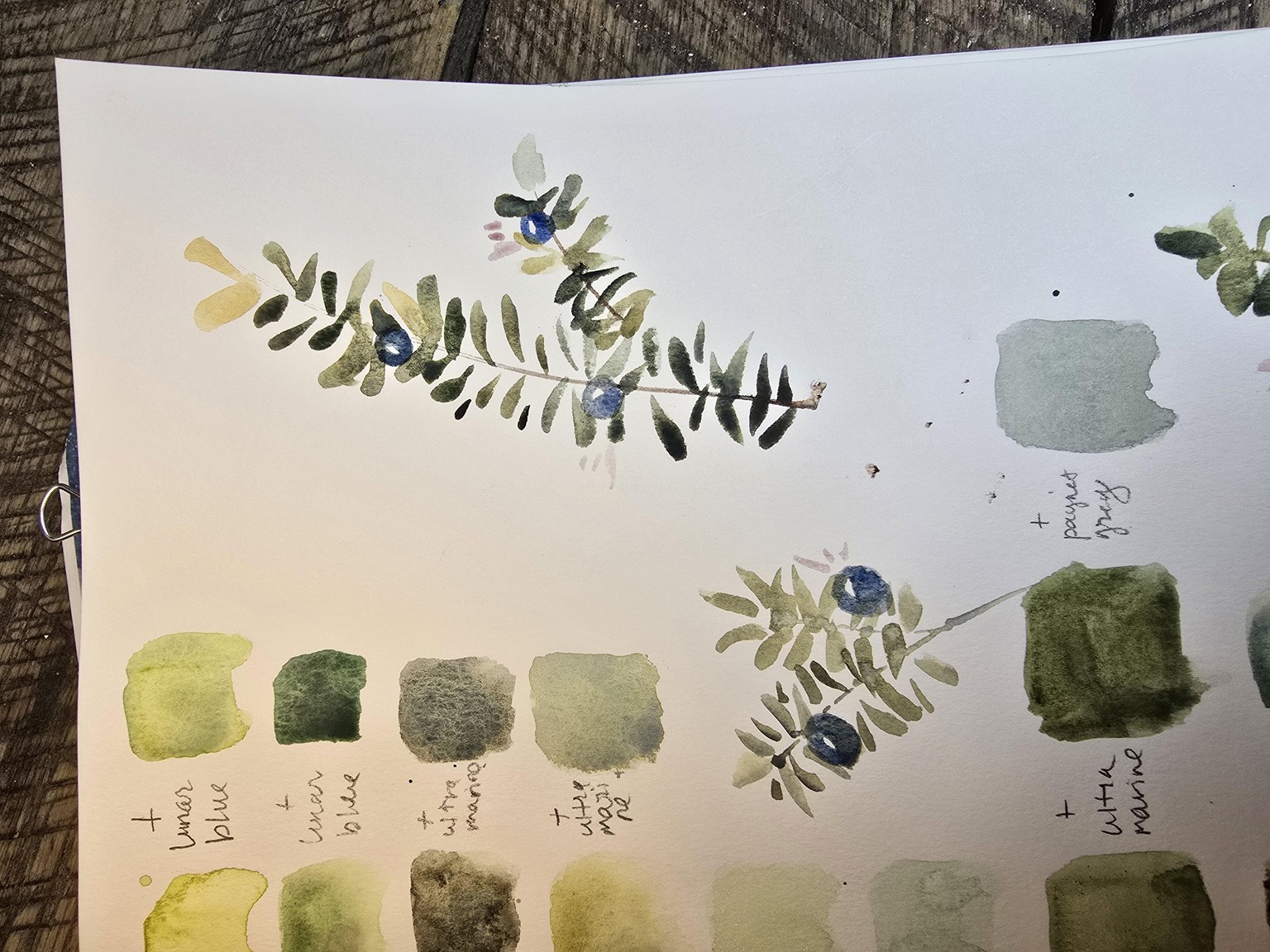 Crowberry practice and final page - image 2 - student project