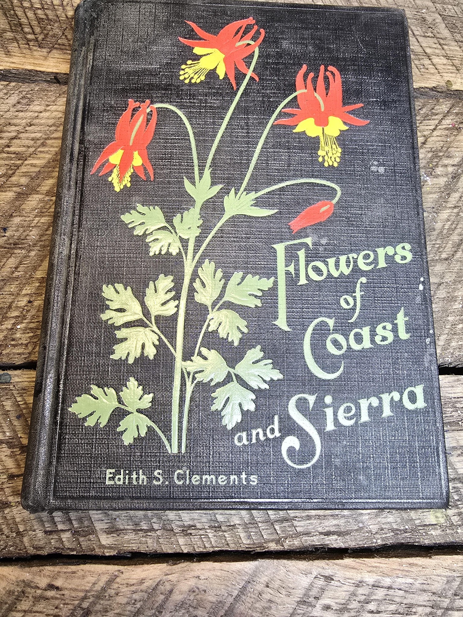 Flower practice in a vintage book! - image 2 - student project