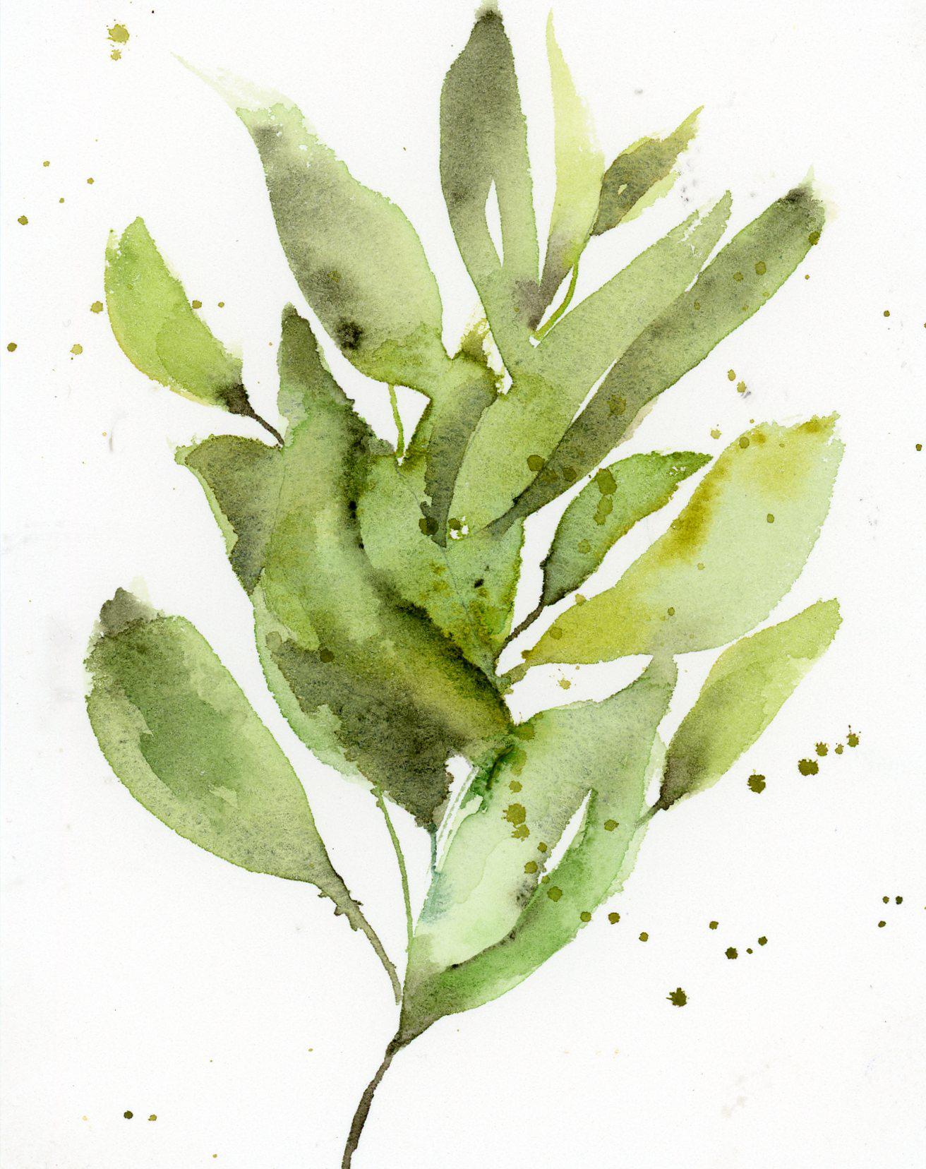 Herbs - image 2 - student project