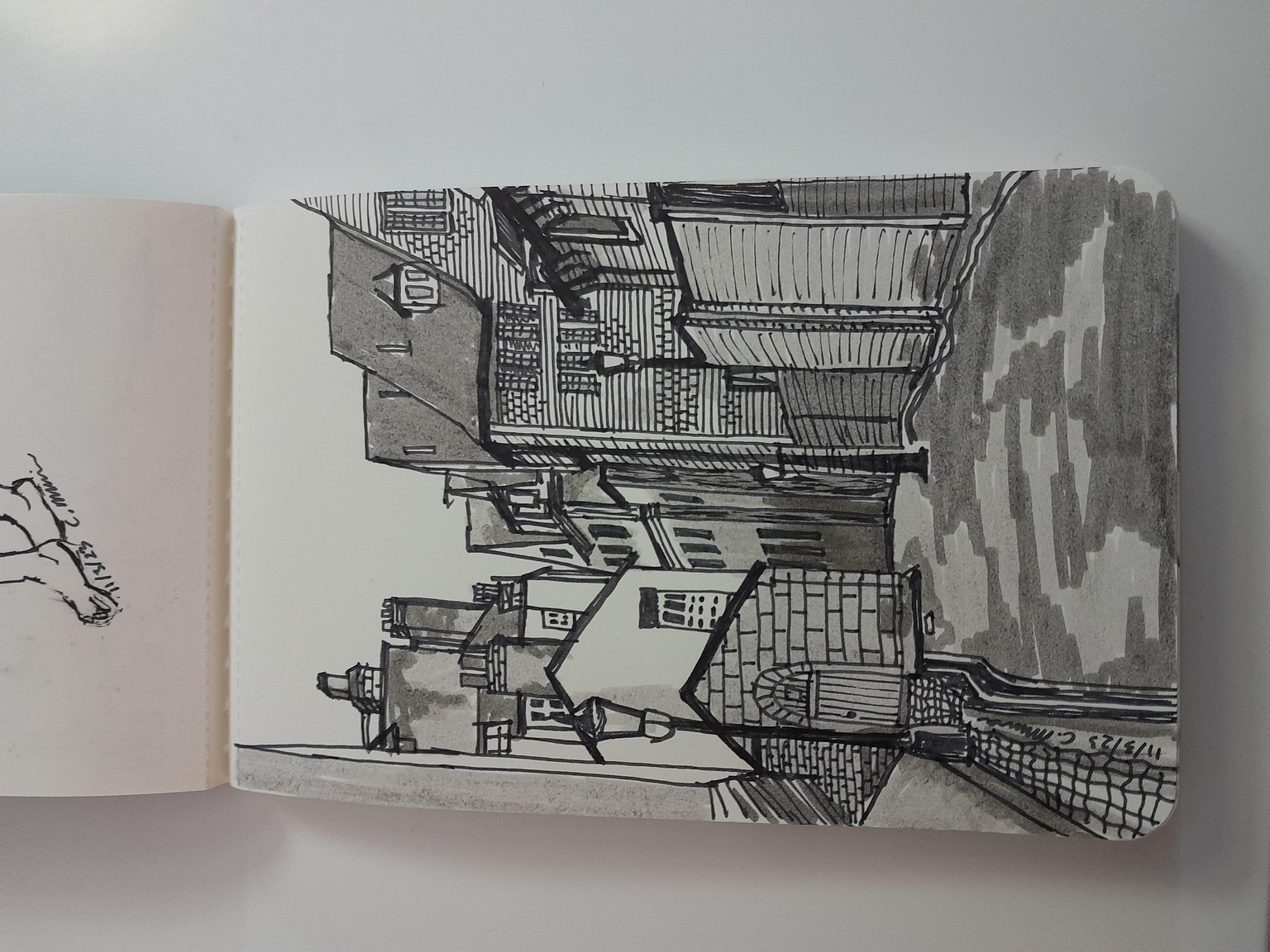 Carolyne MacMillan - image 2 - student project