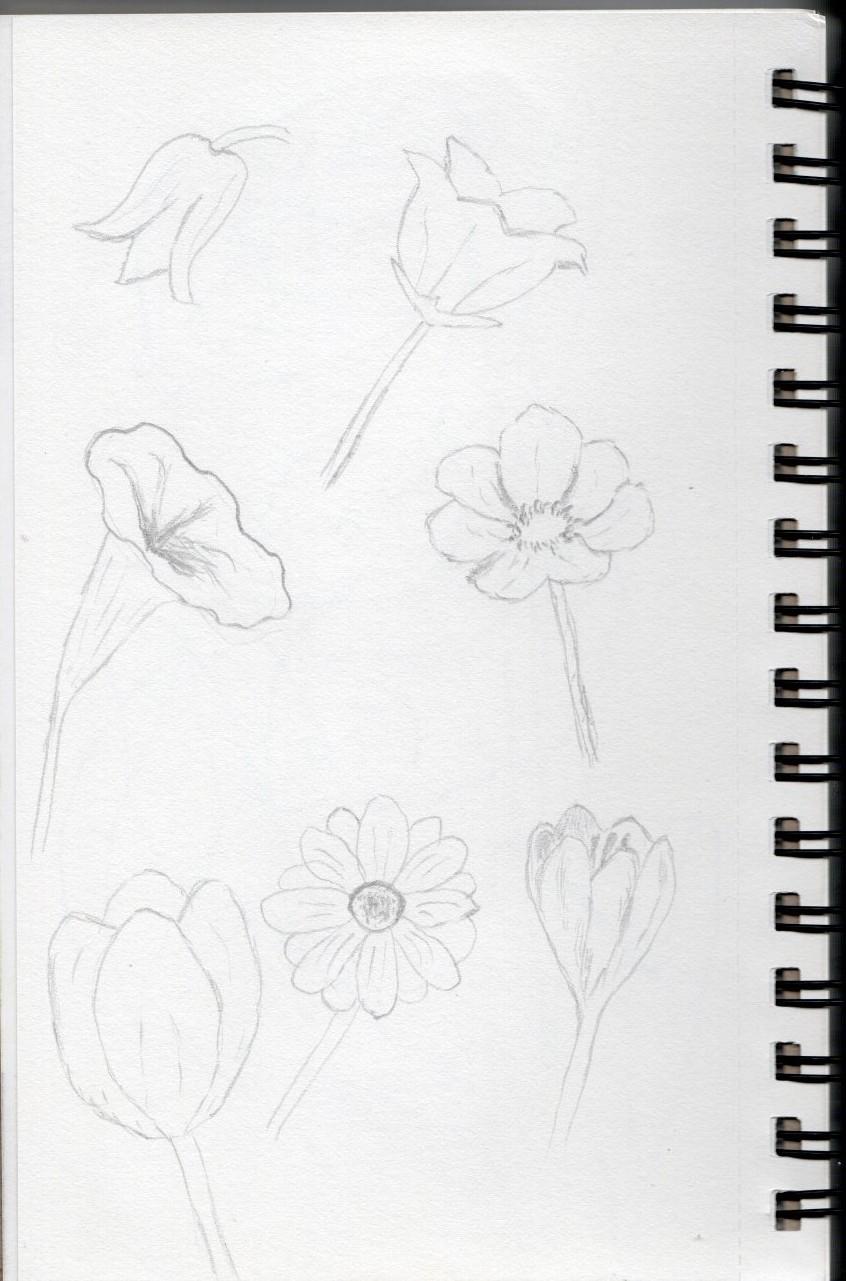 Flower practice - image 1 - student project