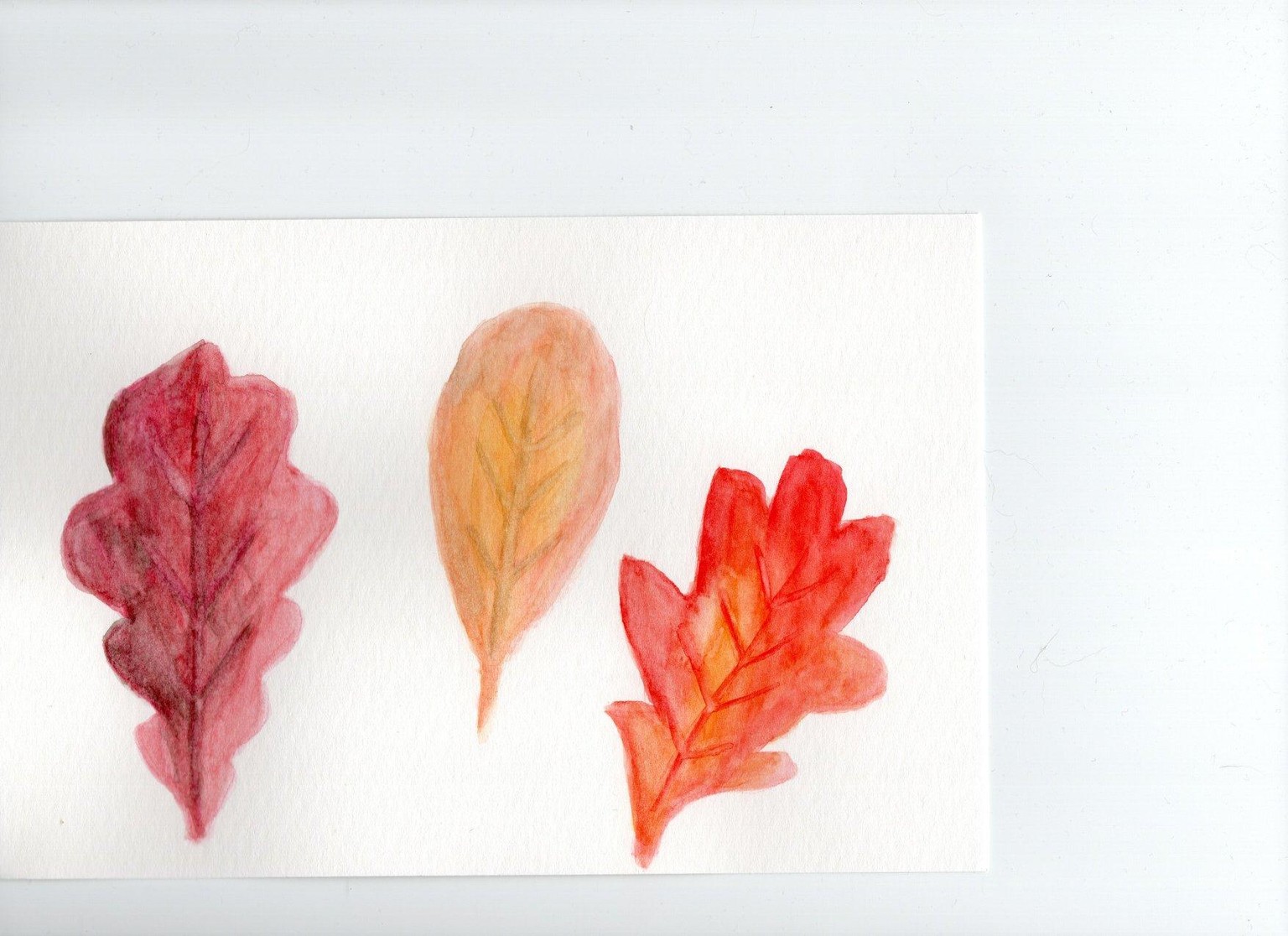 Playing with Watercolor - image 1 - student project