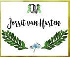 Developing a Wedding Brand Suite - image 5 - student project